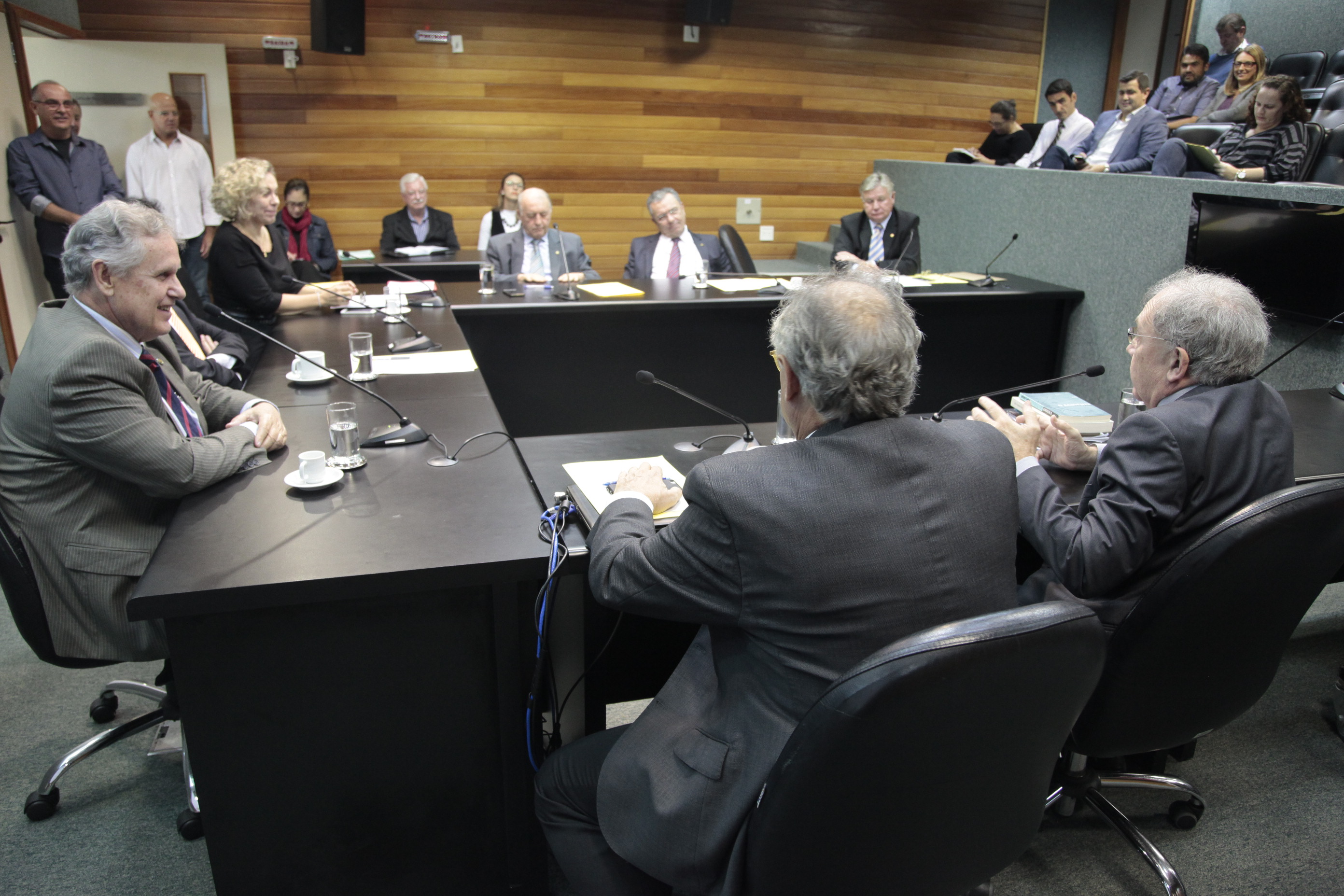 Reunião da Comissão de Prevenção e Combate às Drogas.