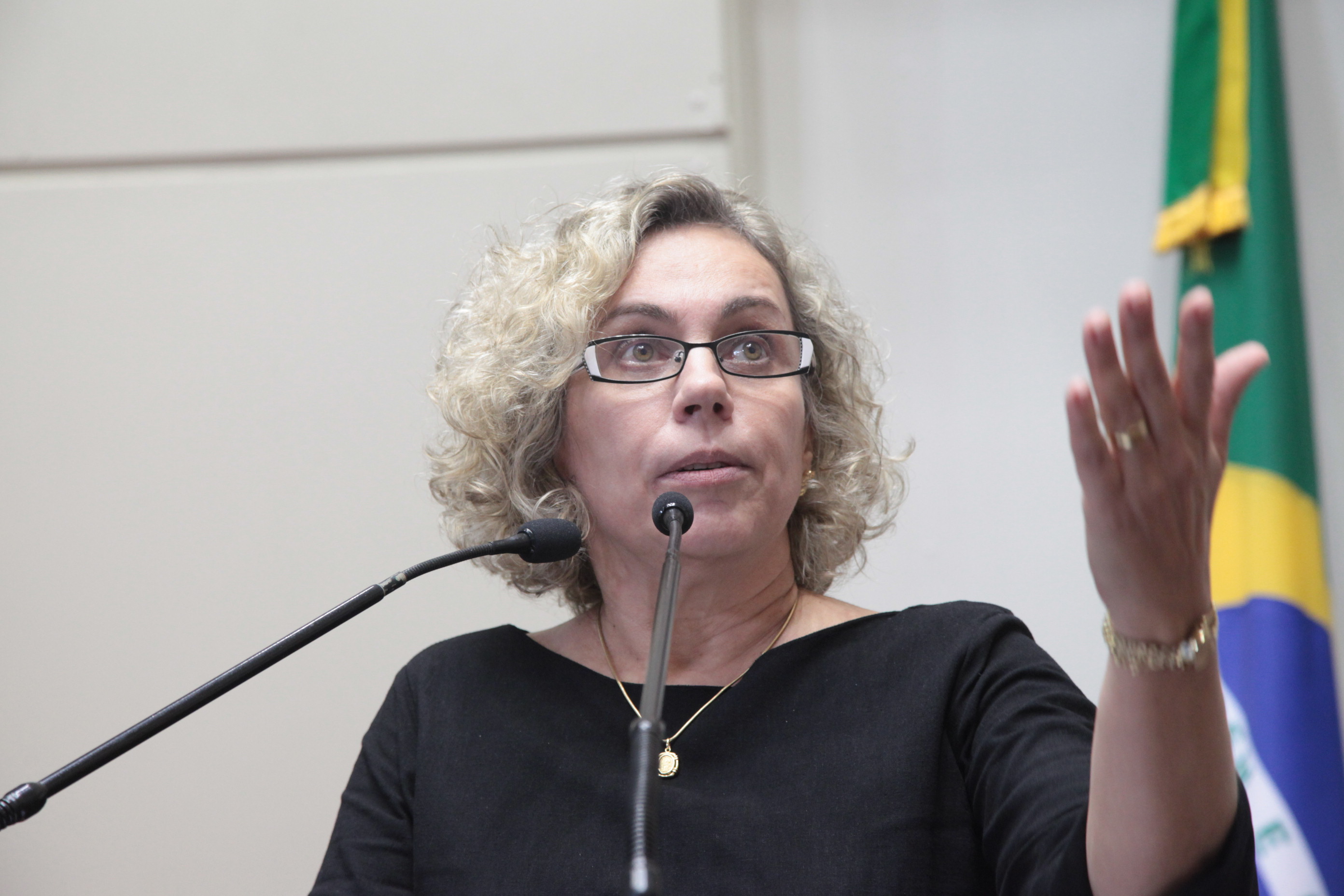 Sessão Ordinária da Assembleia Legislativa do Estado de Santa Catarina. Deputada Ana Paula Lima (PT)