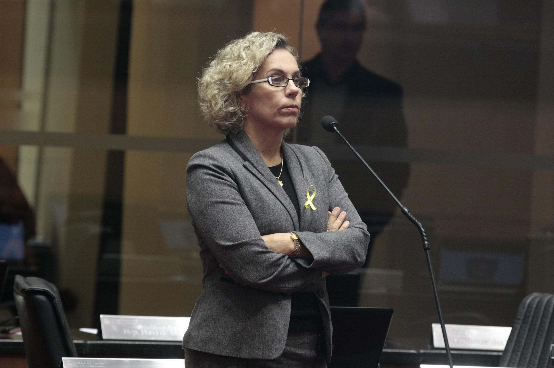 Deputada Ana Paula Lima (PT)