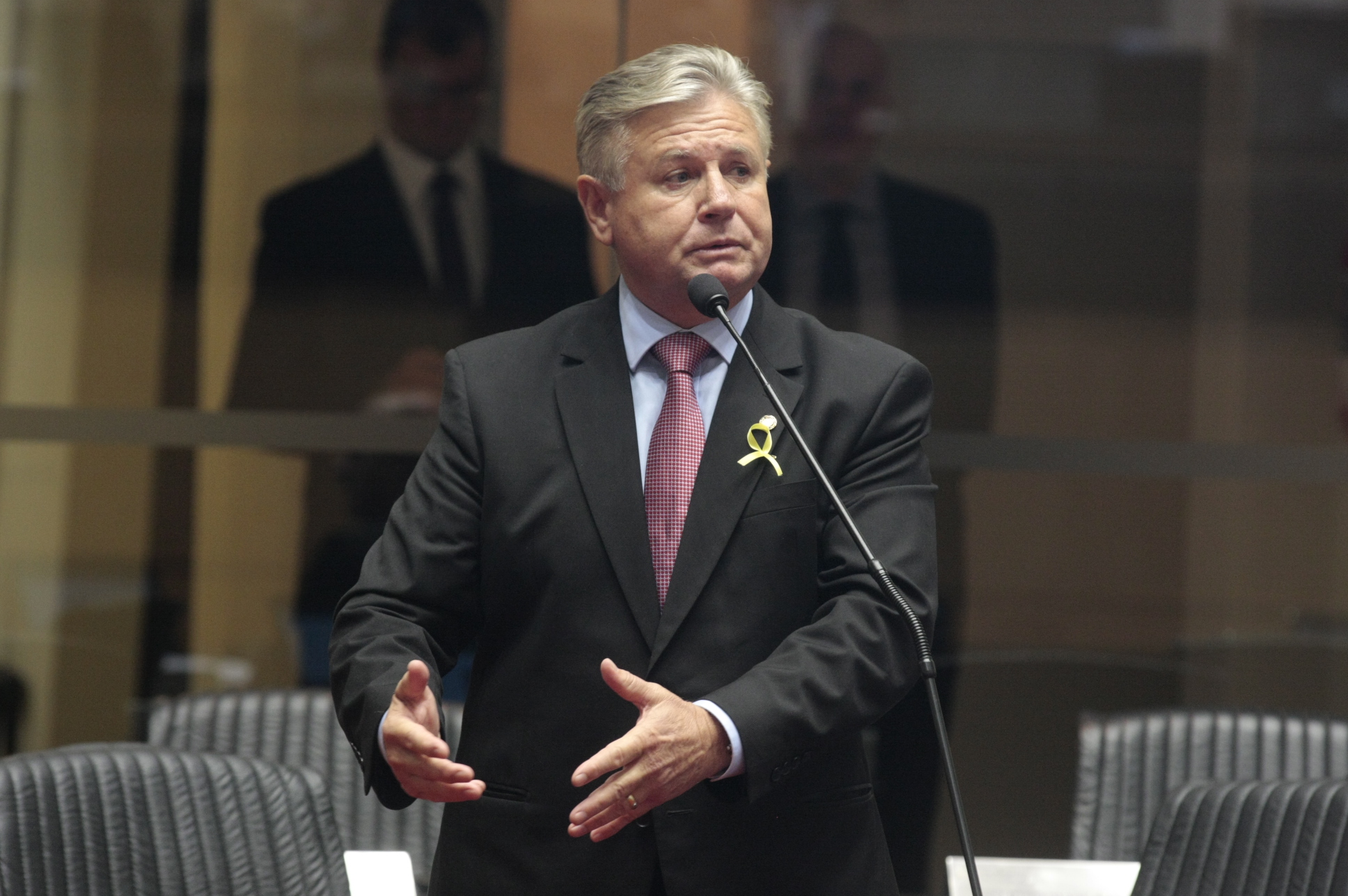 Deputado Nilso Berlanda (PR)