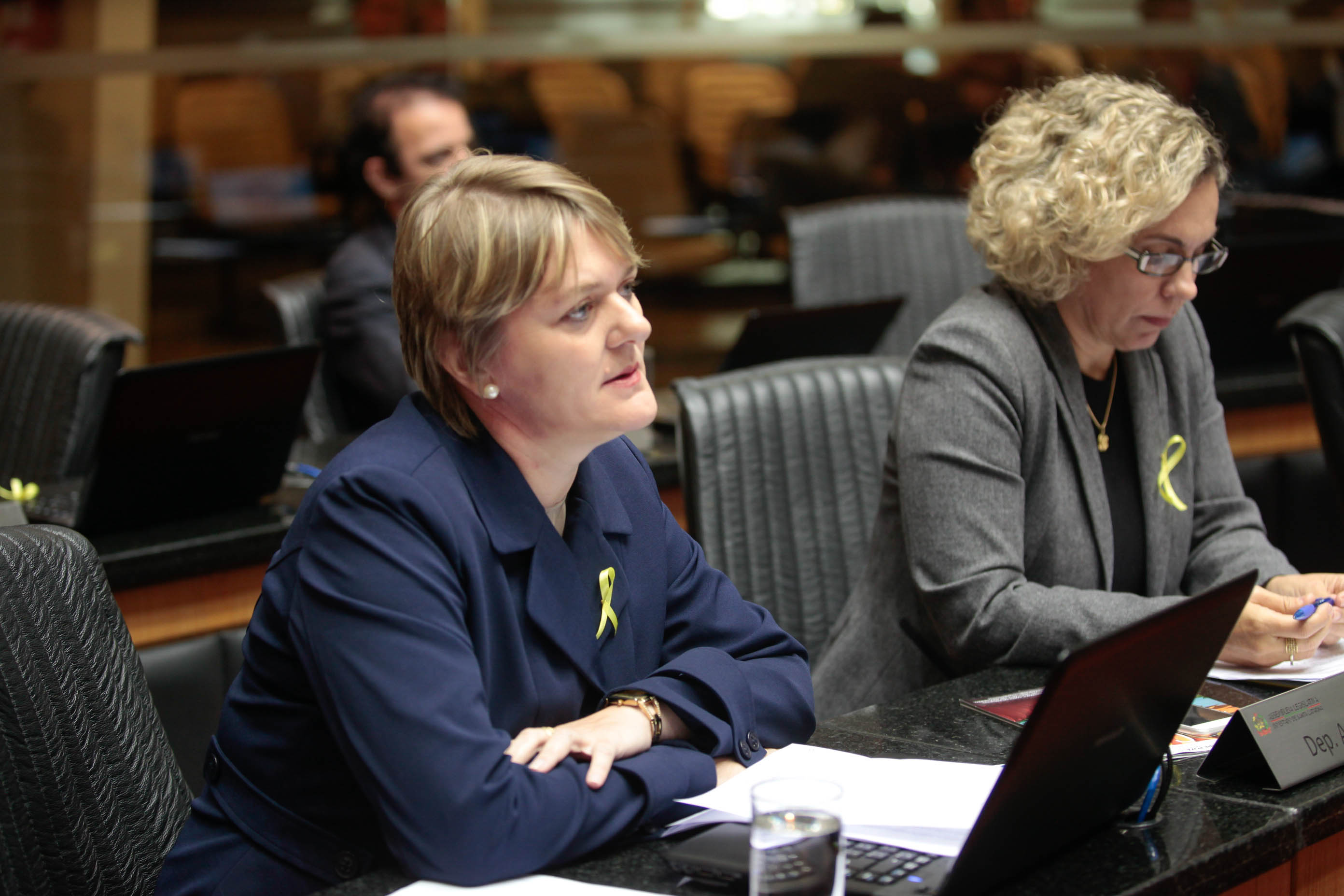 Deputada Luciane Carminatti (PT)