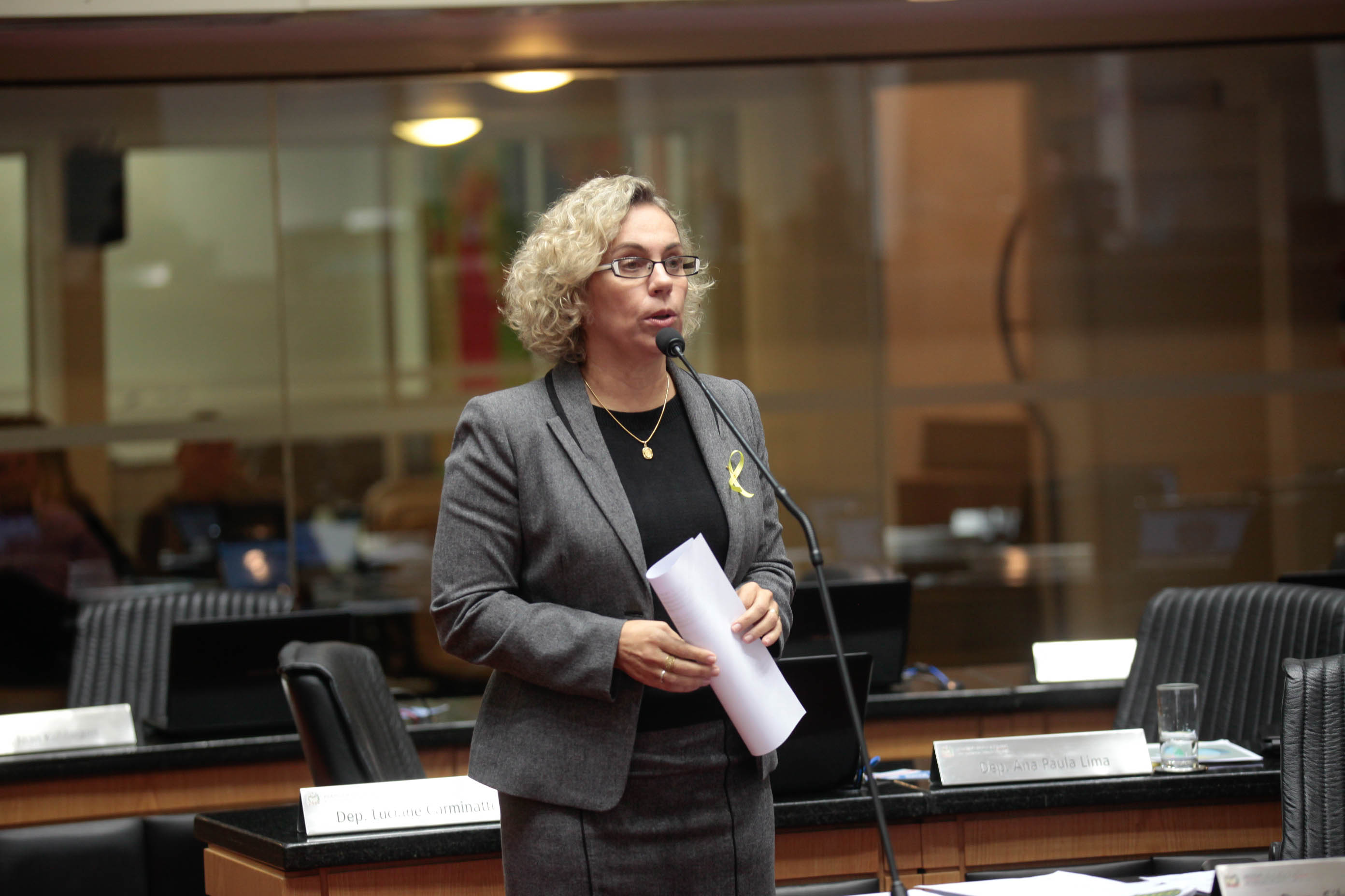 Deputada Ana Paula Lima (PT)
