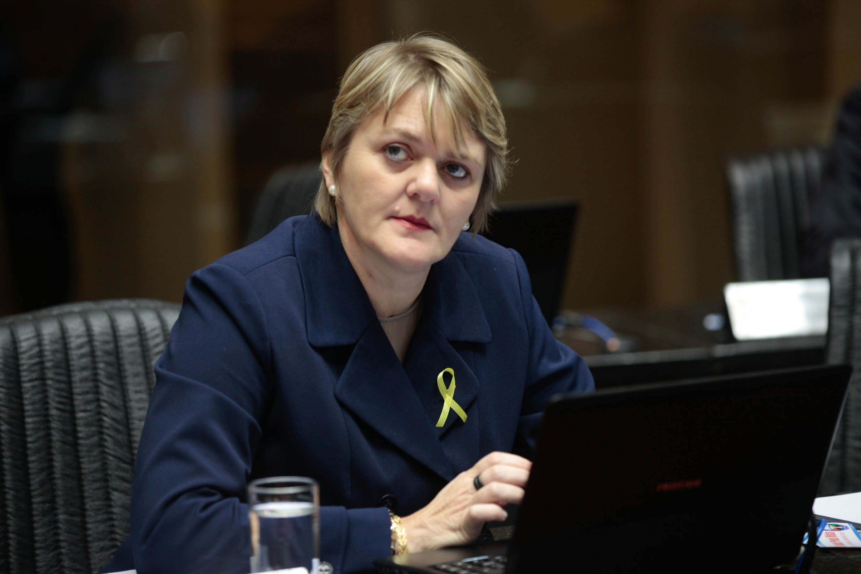 Deputada Luciane Carminatti (PT)