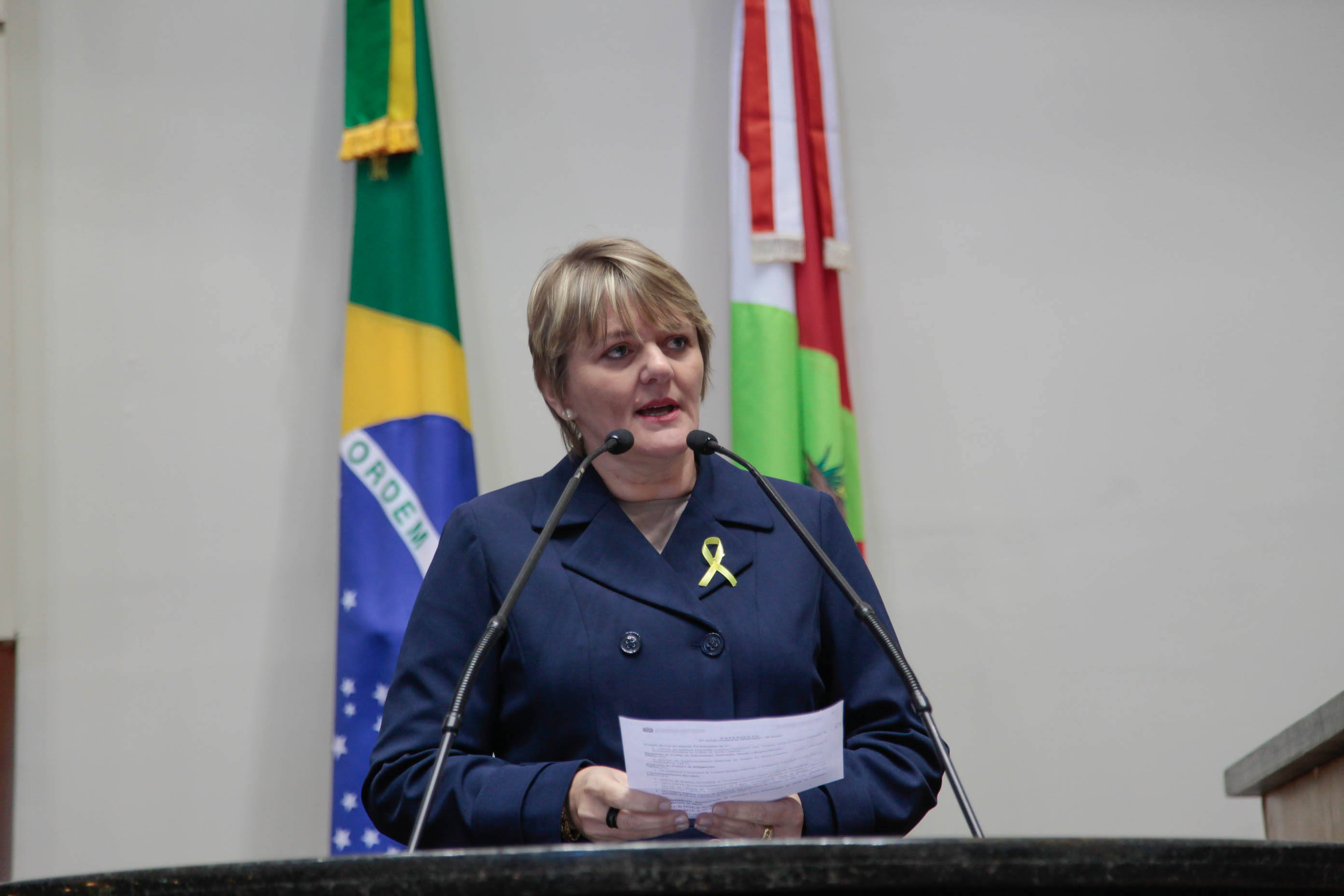 Deputada Luciane Carminatti (PT)