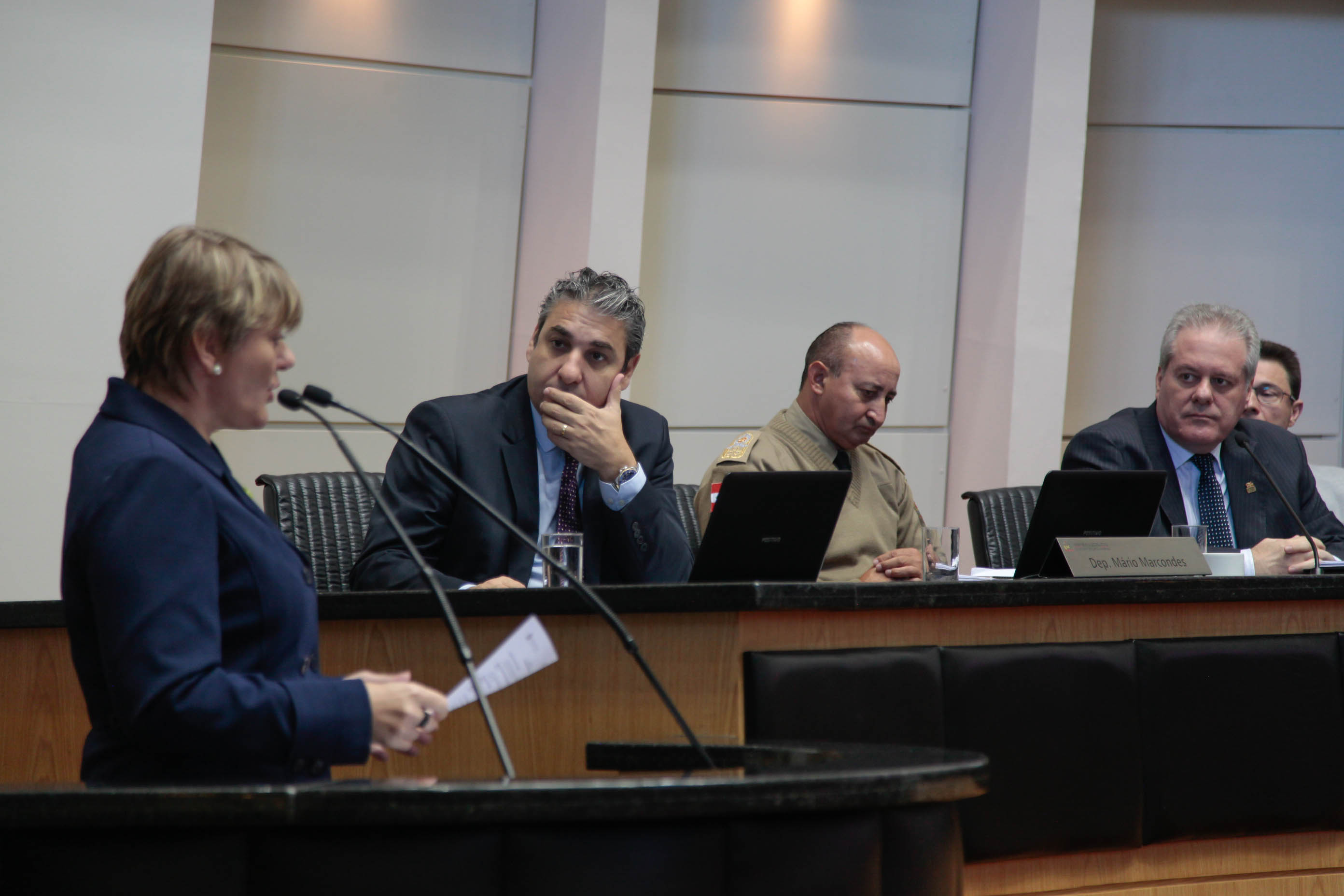 Deputada Luciane Carminatti (PT)