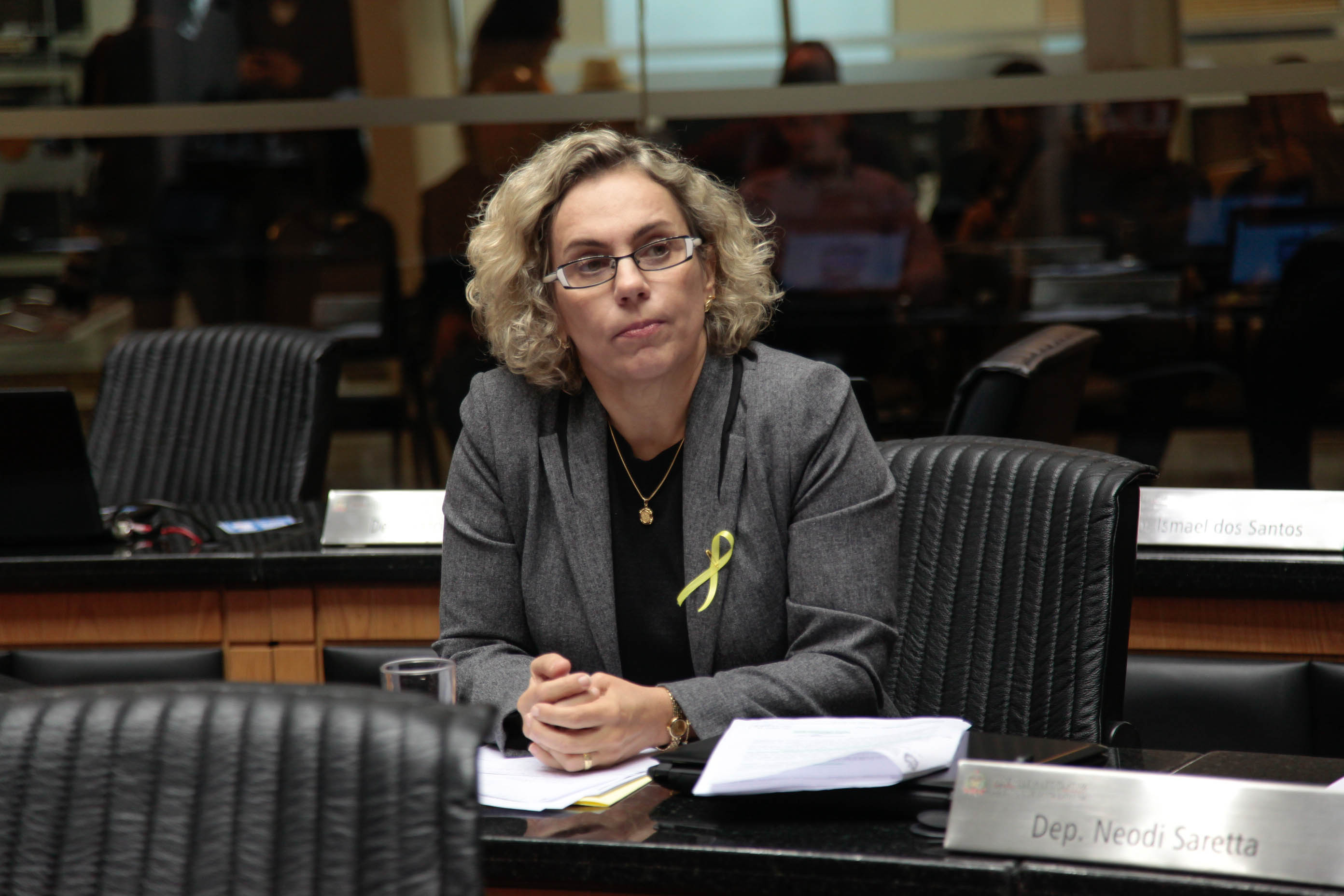 Deputada Ana Paula Lima (PT)