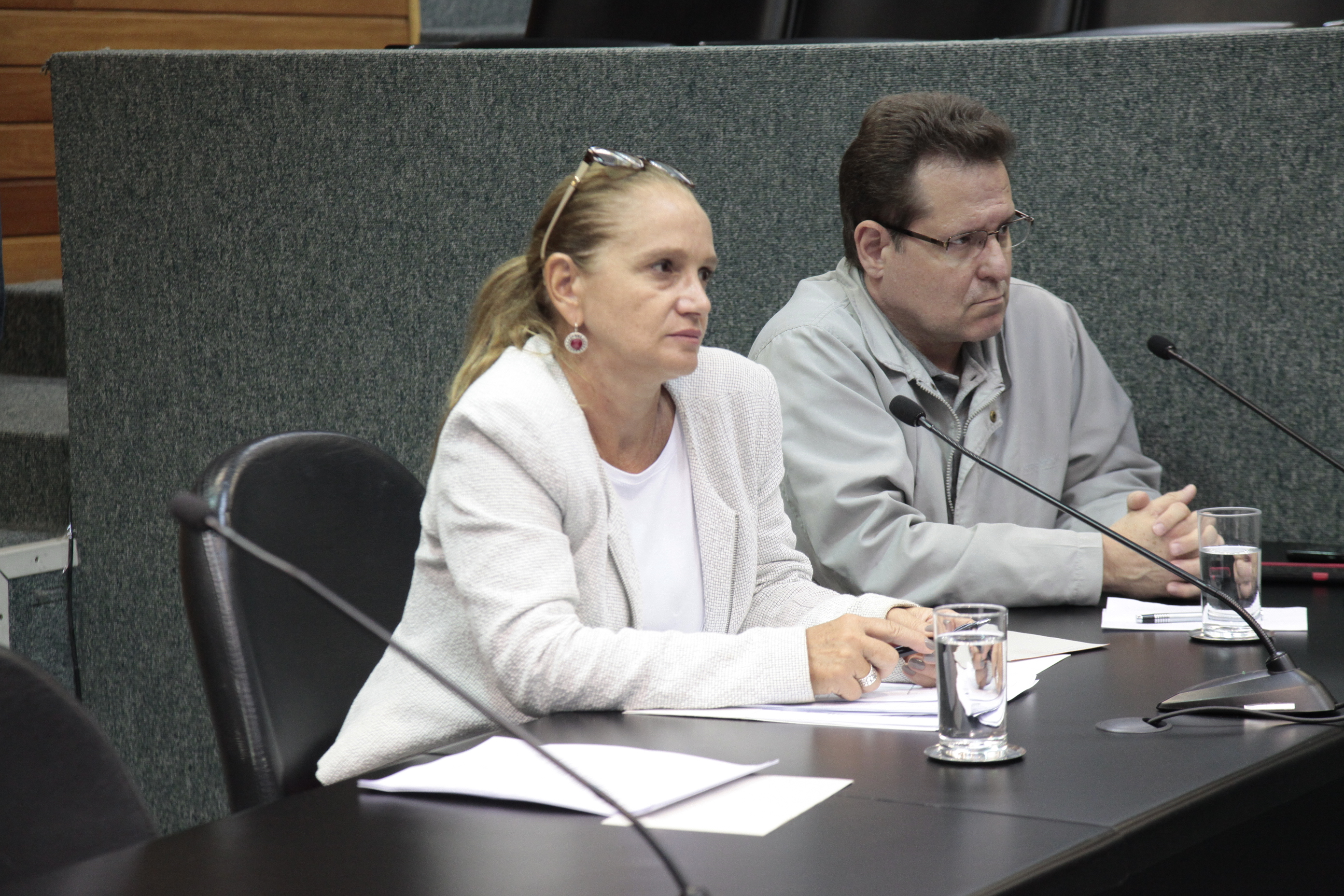 Reunião da CPI dos Medicamentos.