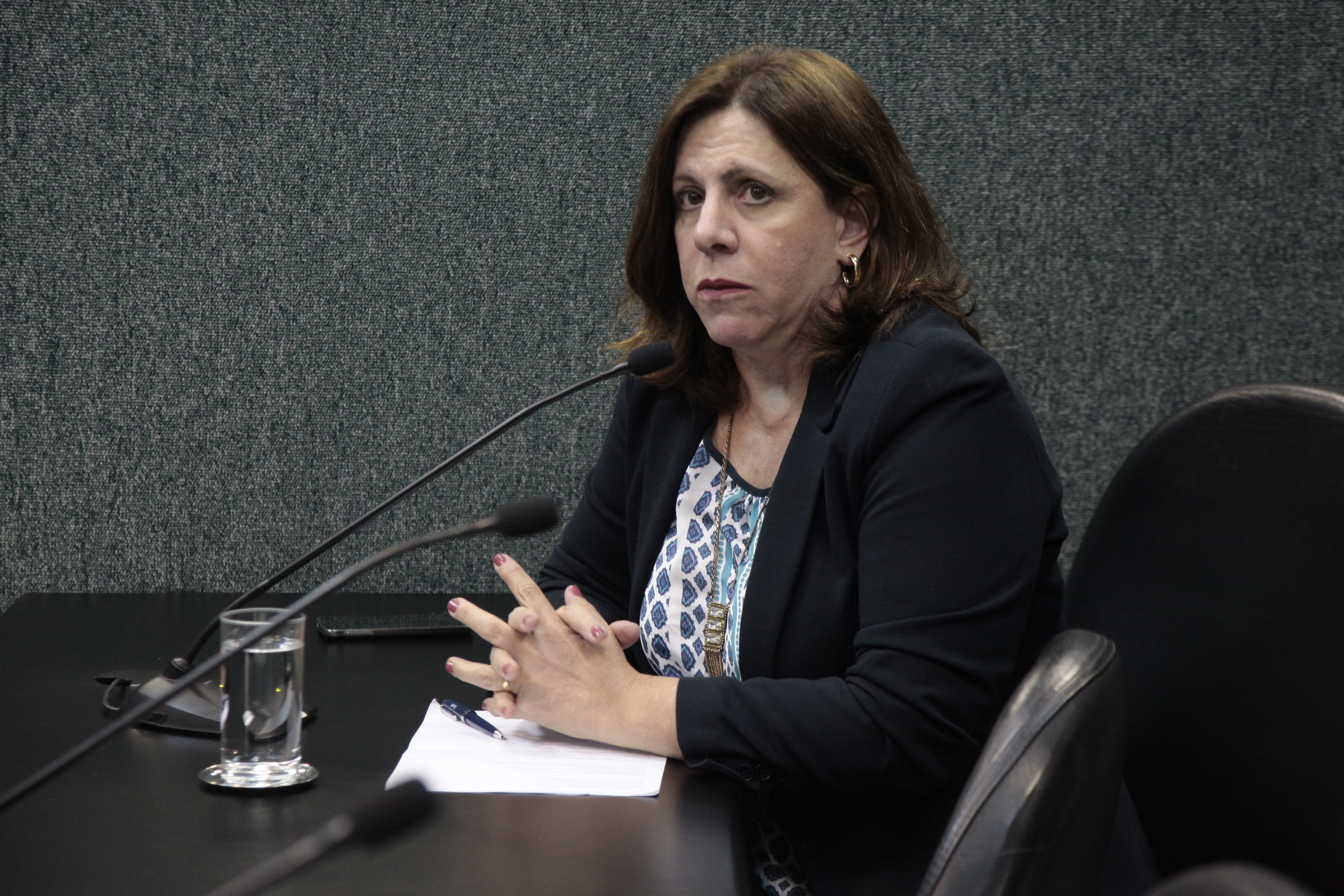 Reunião da CPI dos Medicamentos.