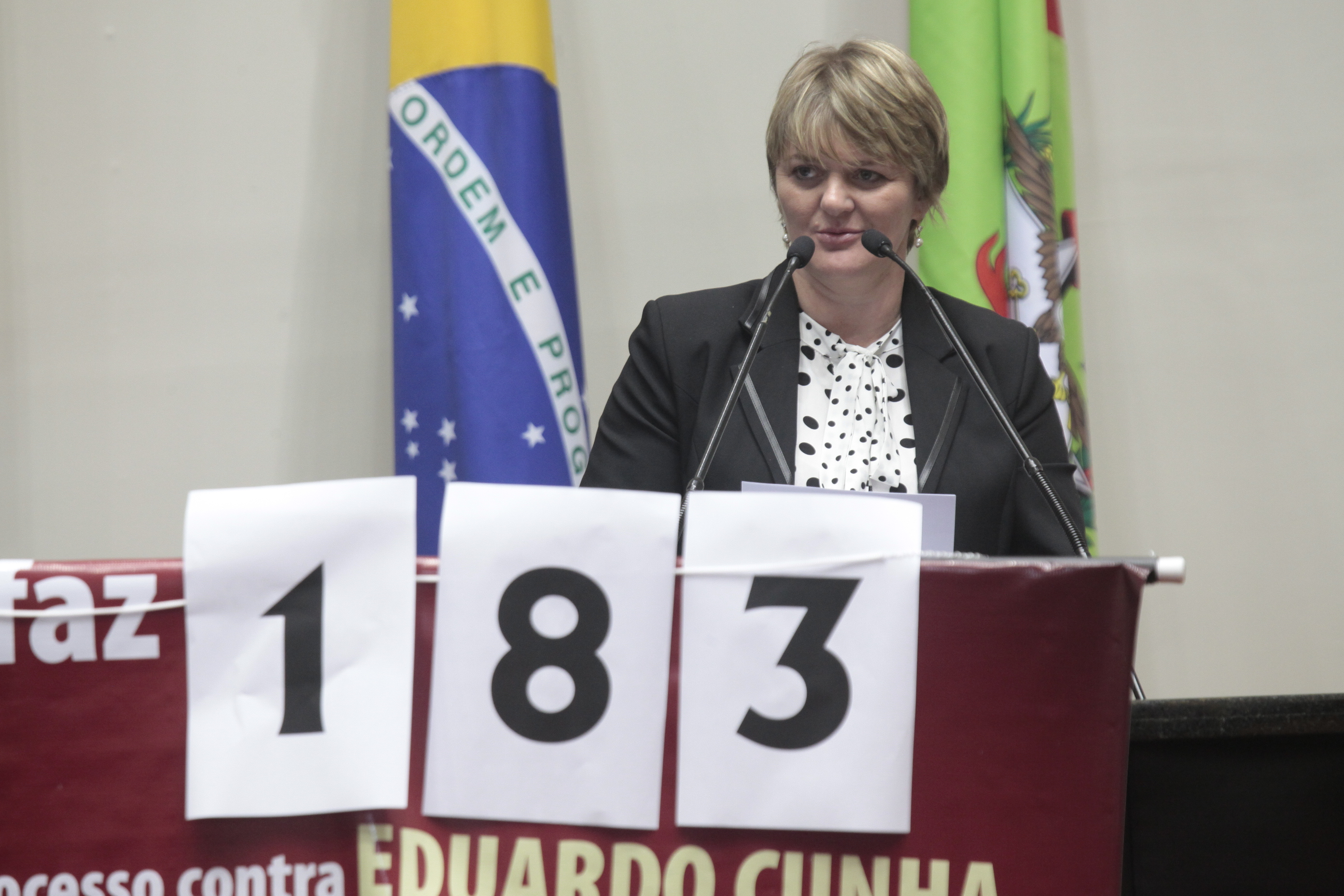 Sessão Ordinária. Deputada Luciane Carminatti (PT).  Foto: Eduardo Guedes de Oliveira/Agência AL