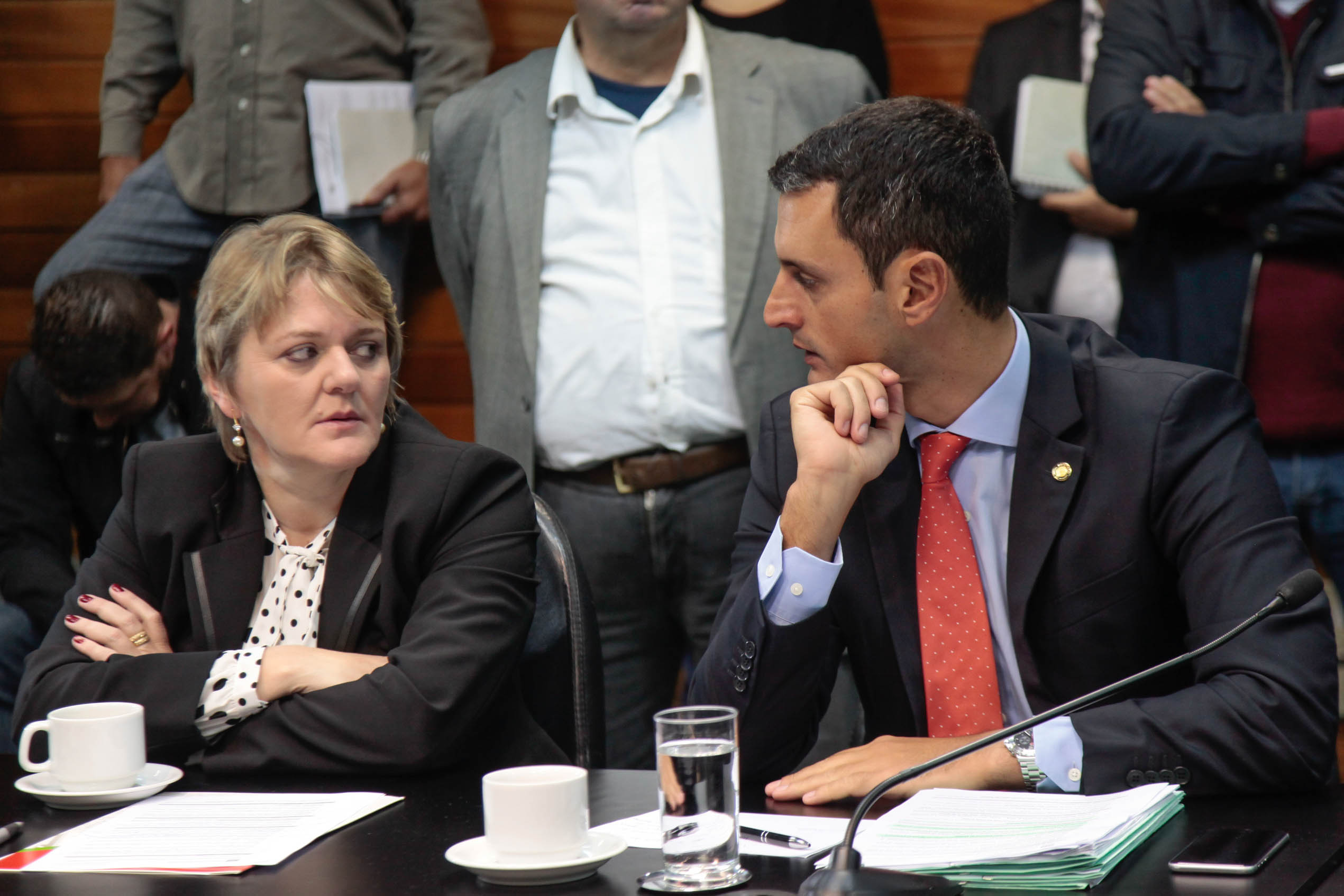 Comissão de Constituição e Justiça
