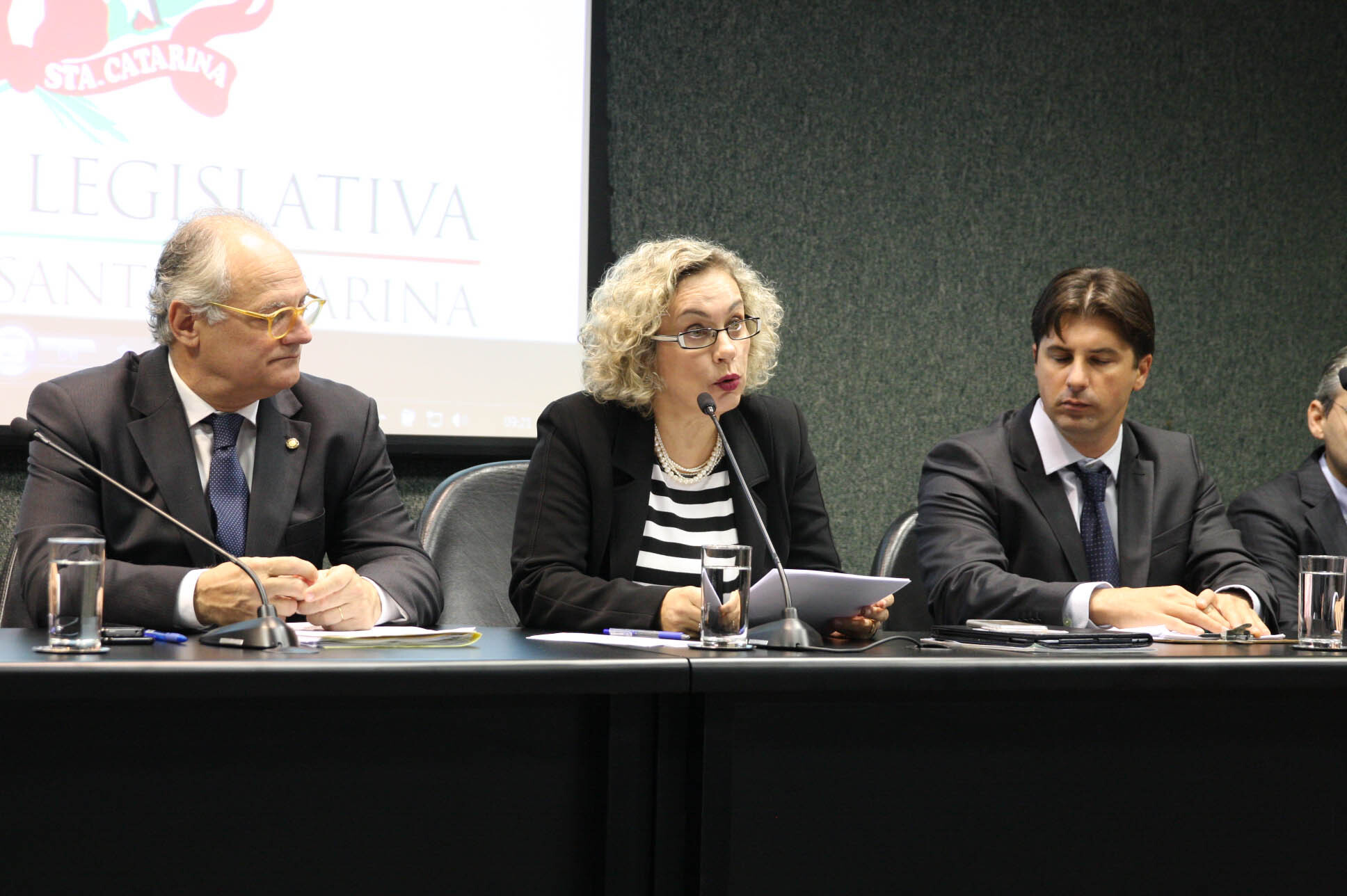 Deputada Ana Paula Lima
