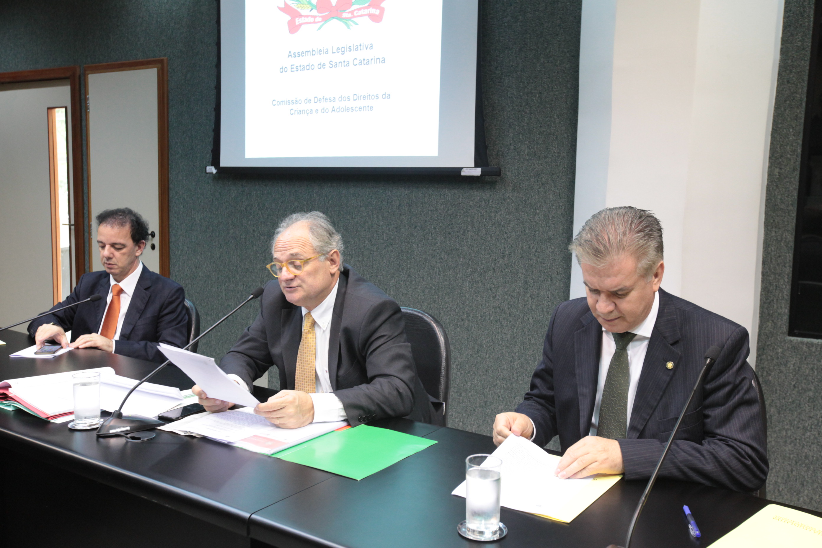Comissão em Defesa dos Direitos da Criança e do Adolescente.
