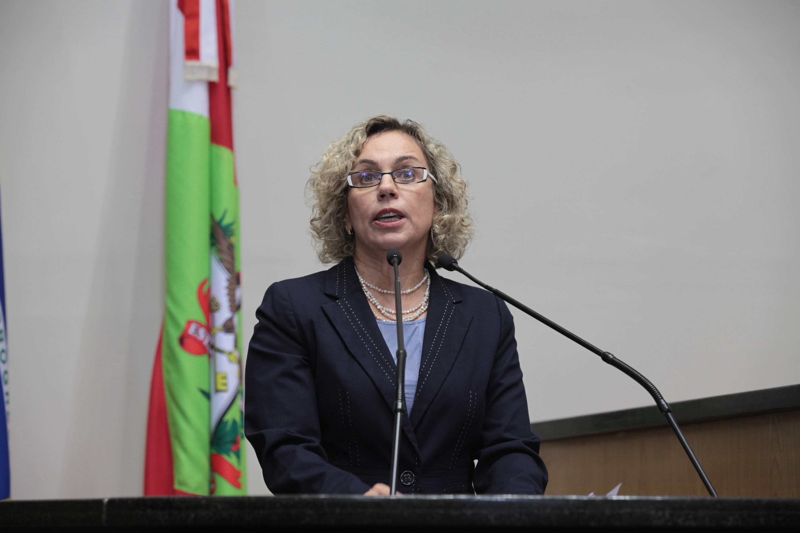 Sessão Ordinária. Deputada Ana Paula Lima (PT)