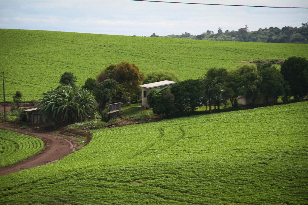 Prazo para cadastramento ambiental rural termina dia 5 de maio