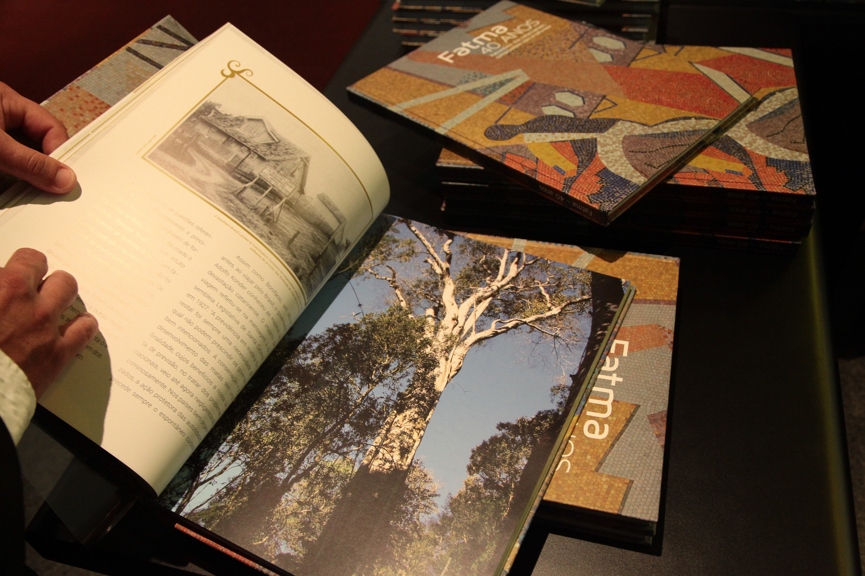 Sessão Especial em homenagem à Fundação do Meio Ambiente - FATMA pela passagem das suas quatro décadas de atividade e lançamento do livro FATMA 40 anos - Patrimônio dos Catarinenses.