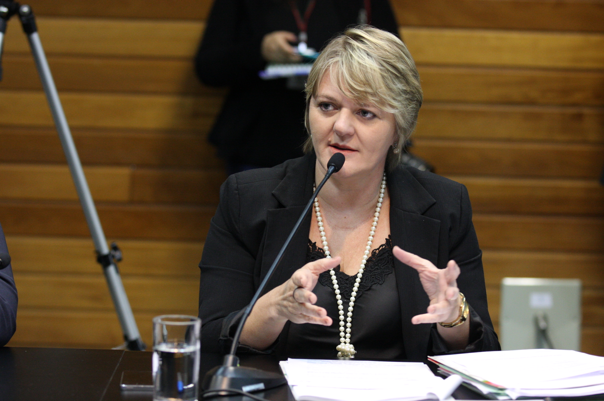 Comissão de Constituição e Justiça. Deputada Luciane Carminatti (PT). Foto: Yuri Santos / Agência AL