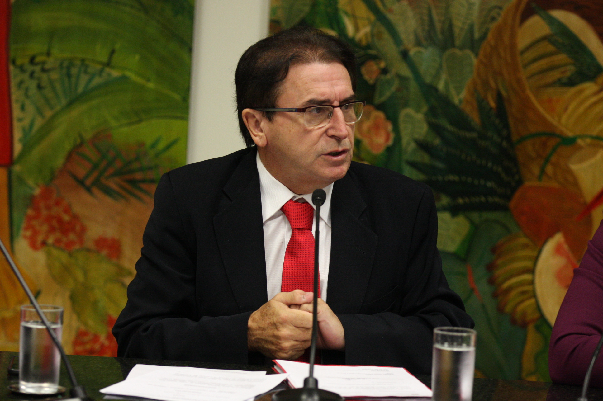 Comissão de Educação Cultura e Desporto. Foto: Yuri Santos / Agência AL