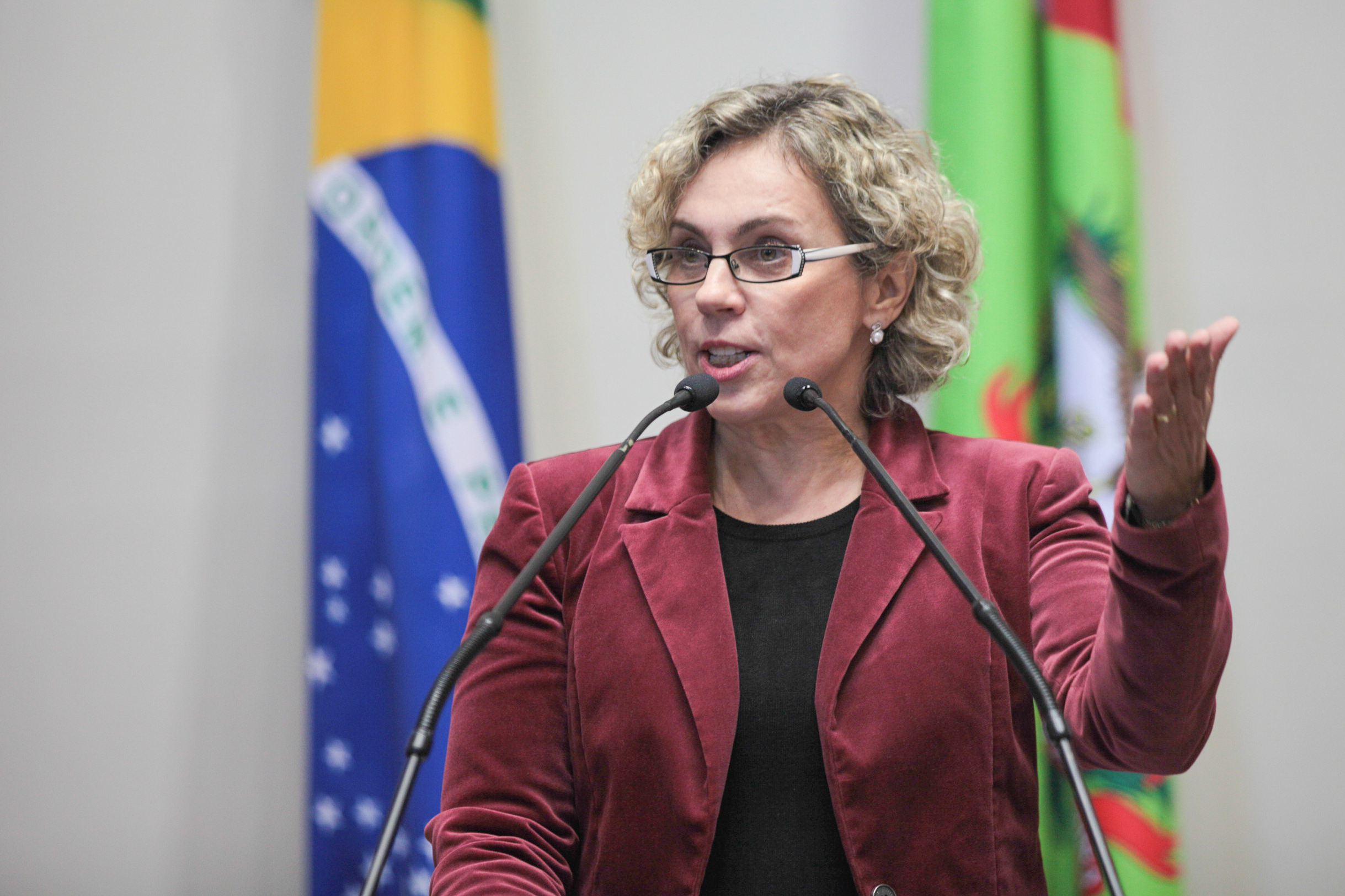 Sessão Ordinária.  Deputada Ana Paula Lima (PT)