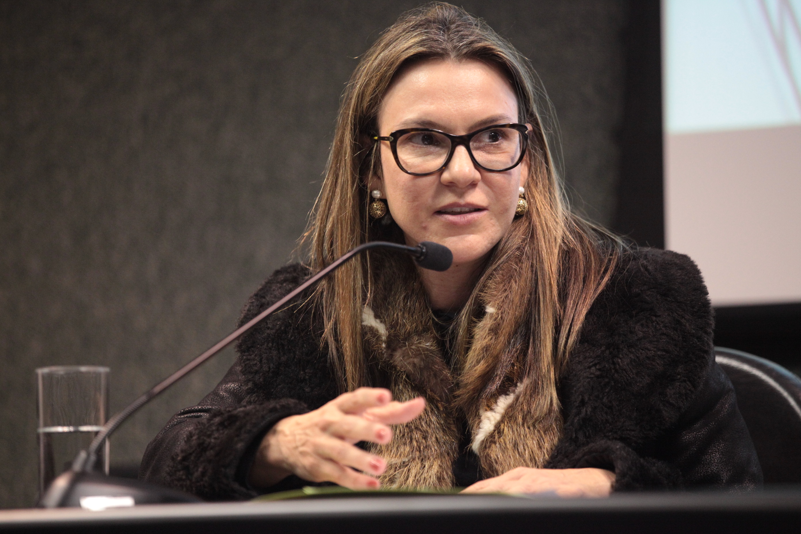Audiência Pública - 3 Anos da Defensoria Pública - Marta Beatriz Tedesco