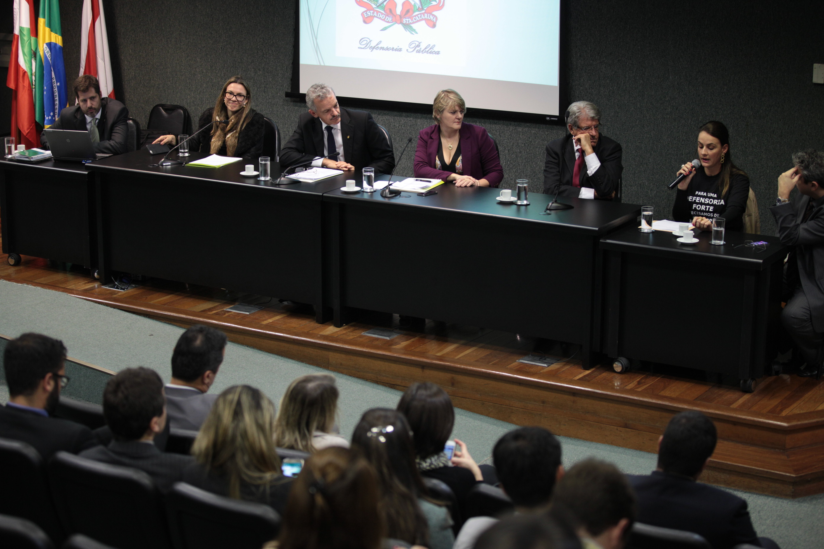 Audiência Pública - 3 Anos da Defensoria Pública