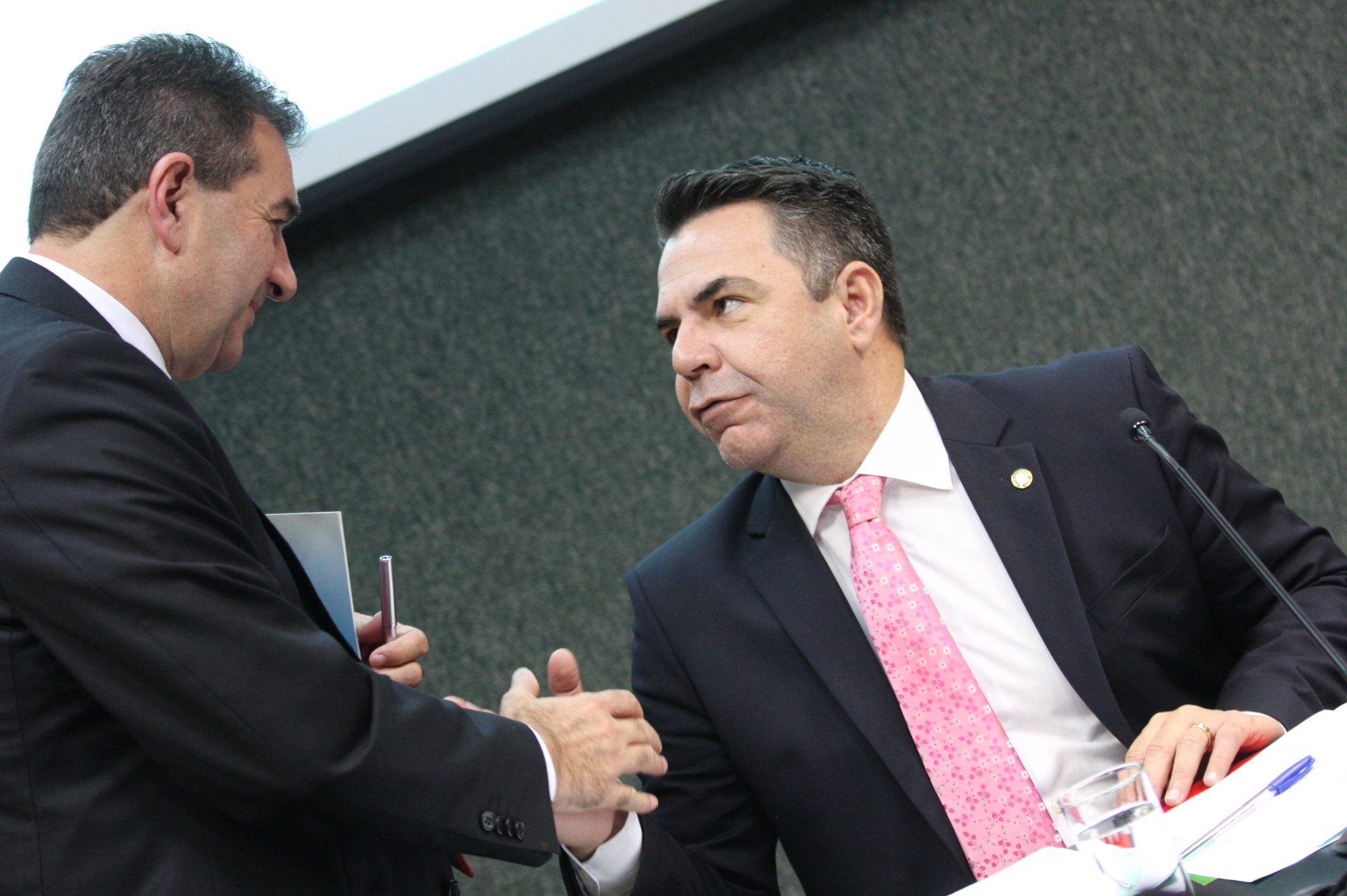 Comissão de Defesa dos Direitos da Pessoa com Deficiência. Foto: Yuri Santos / Agência AL