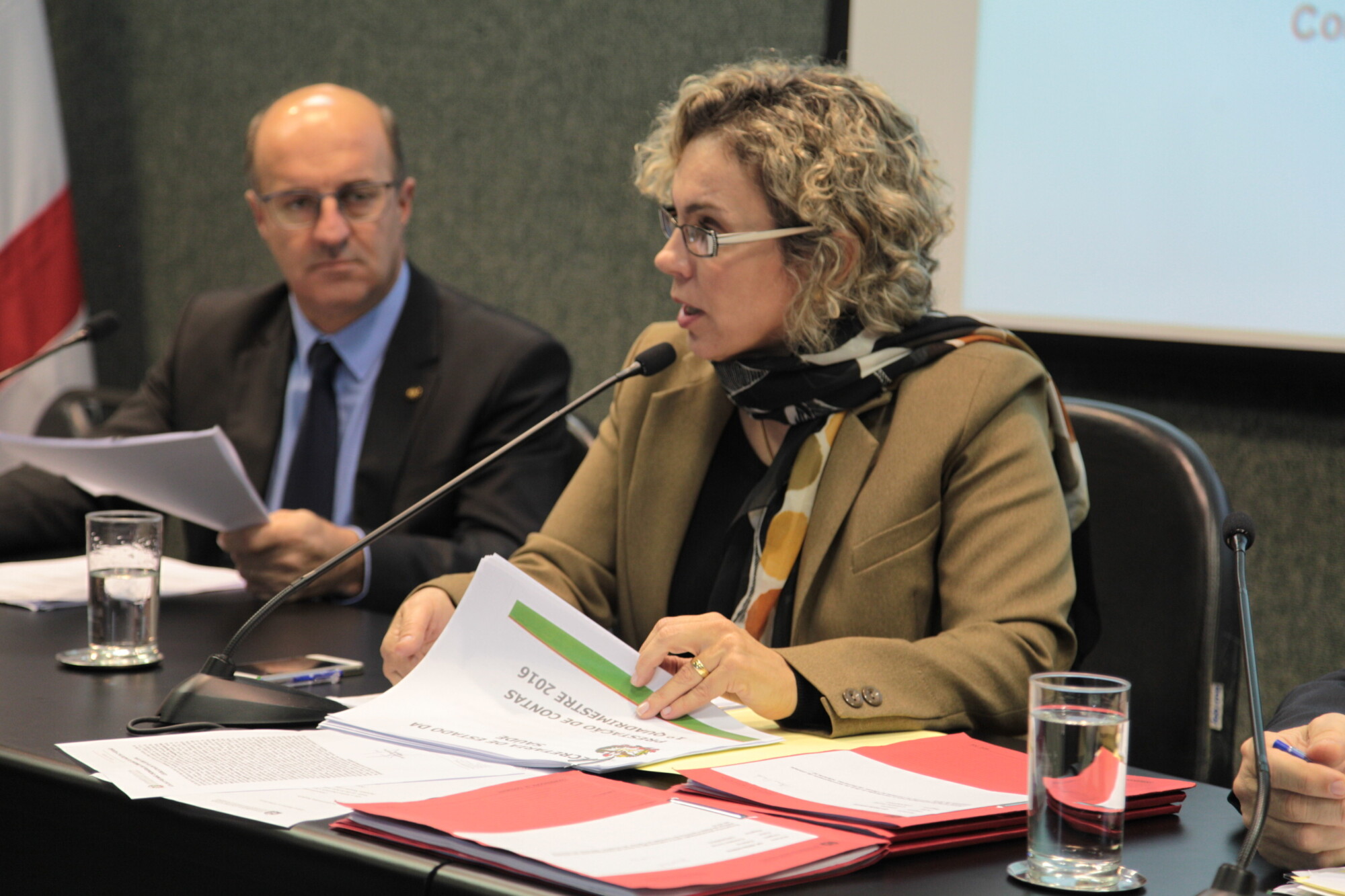 Deputada Ana Paula Lima, presidente da Comissão de Saúde