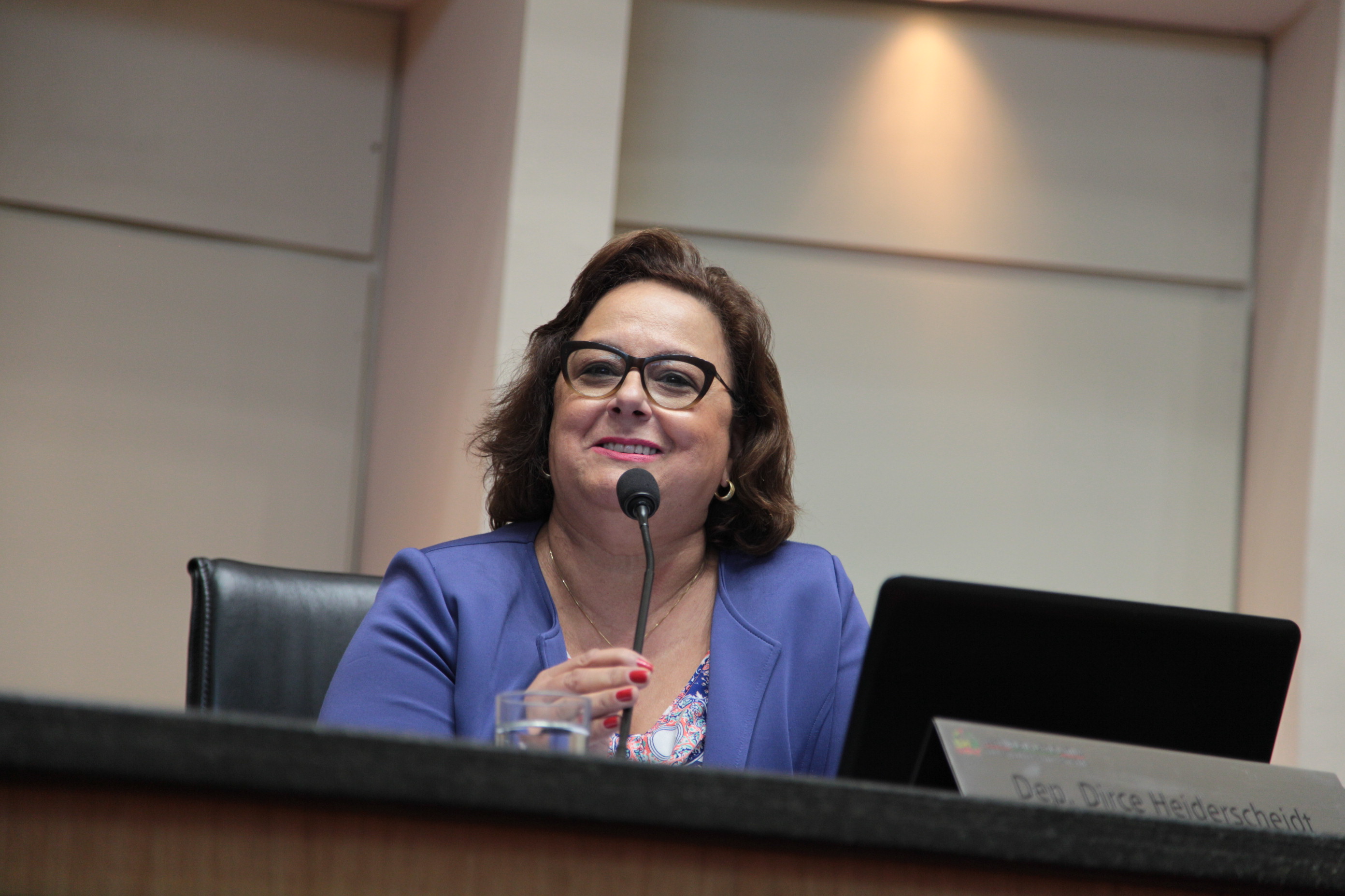 Sessão Ordinária  - Deputada Dirce Heiderscheidt (PMDB) - Foto Solon Soares
