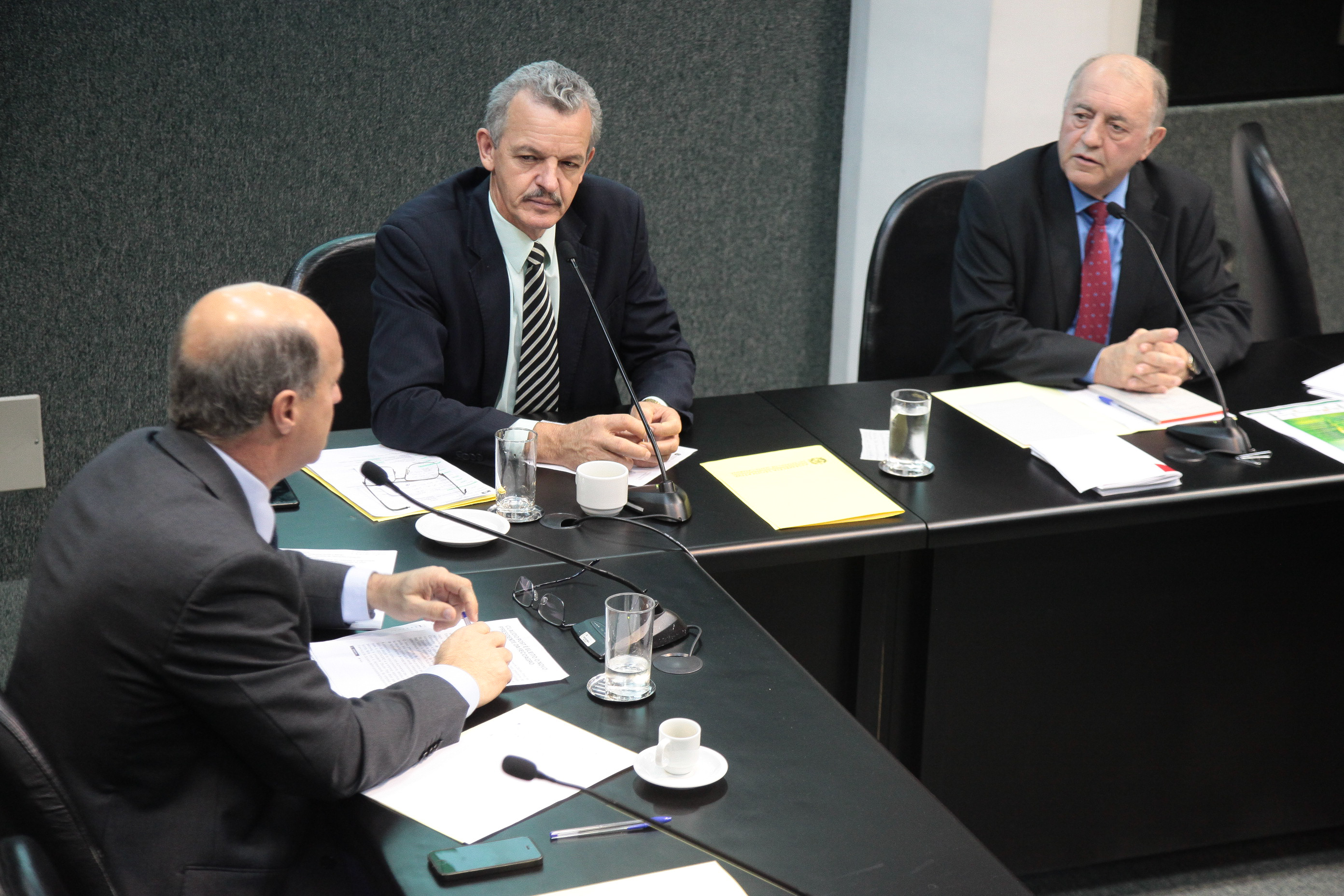 Reunião da Comissão de Agricultura e Política Rural.
