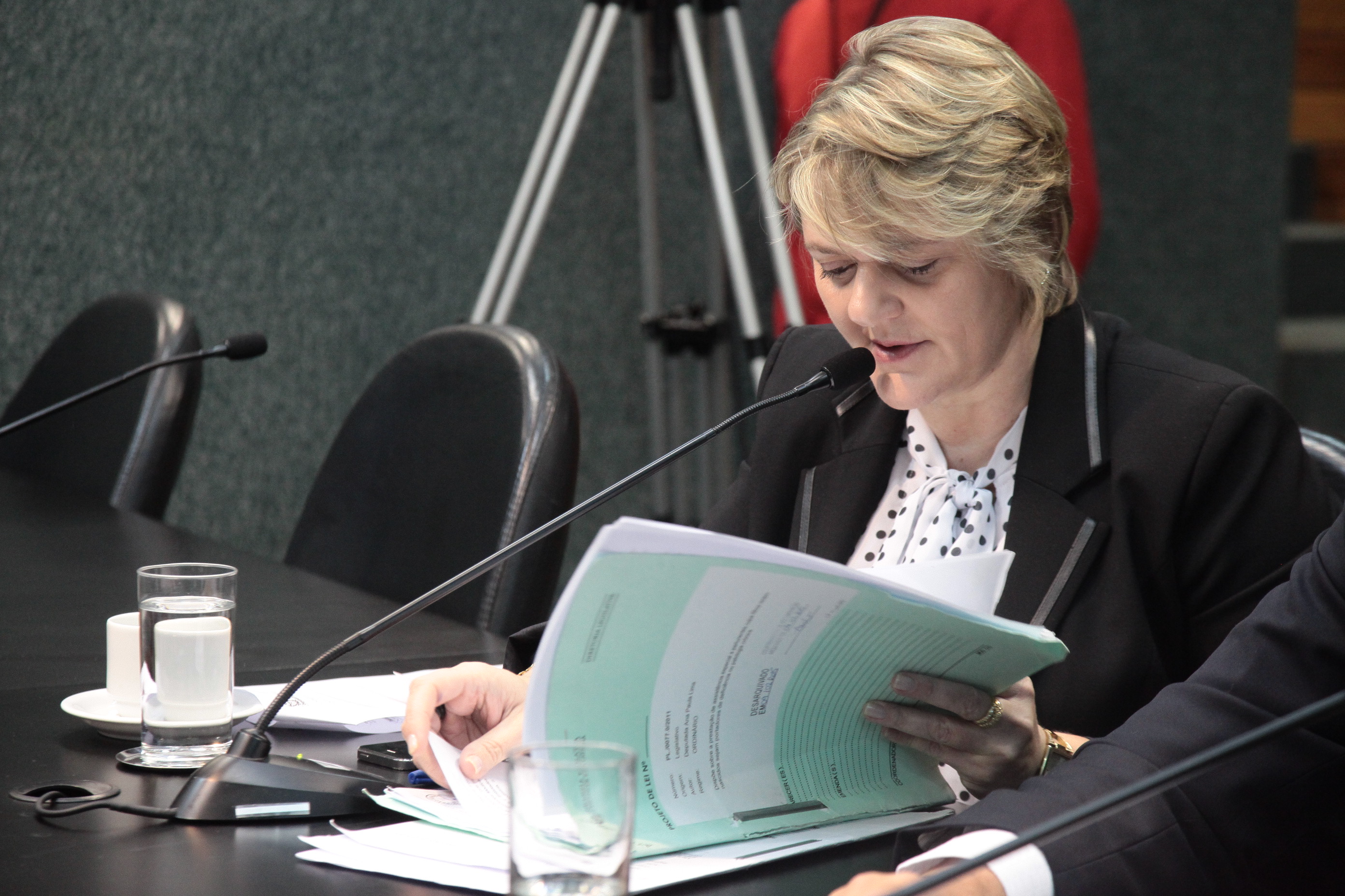 Reunião da Comissão de Constituição e Justiça.