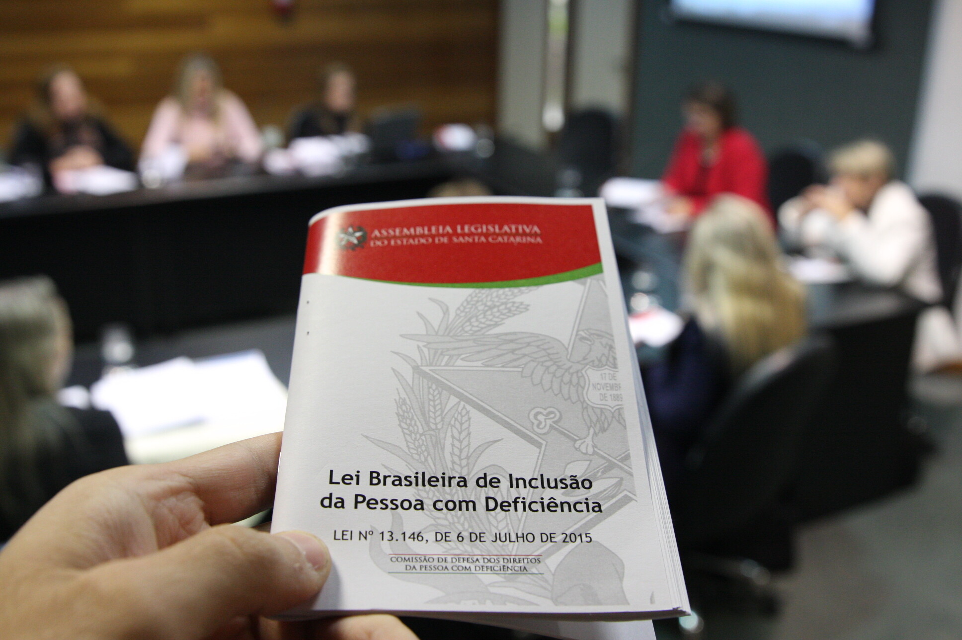 Texto da lei catarinense deve tomar como base a Convenção dos Direitos da Pessoa com Deficiência, a Lei Brasileira de Inclusão e a legislação existent