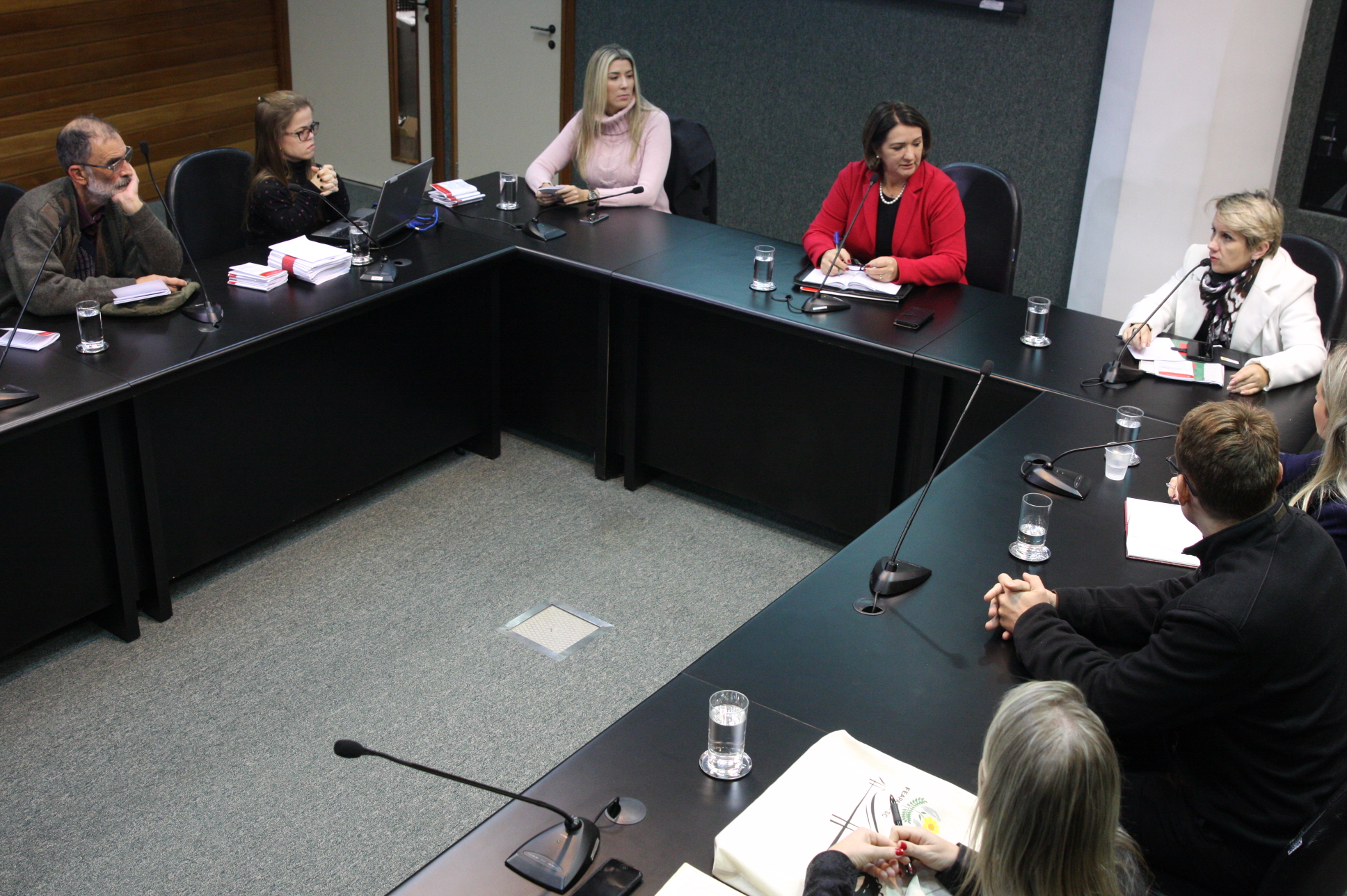 Comissão de Defesa dos Direitos da Pessoa com Deficiência. Foto: Yuri Santos / Agência AL