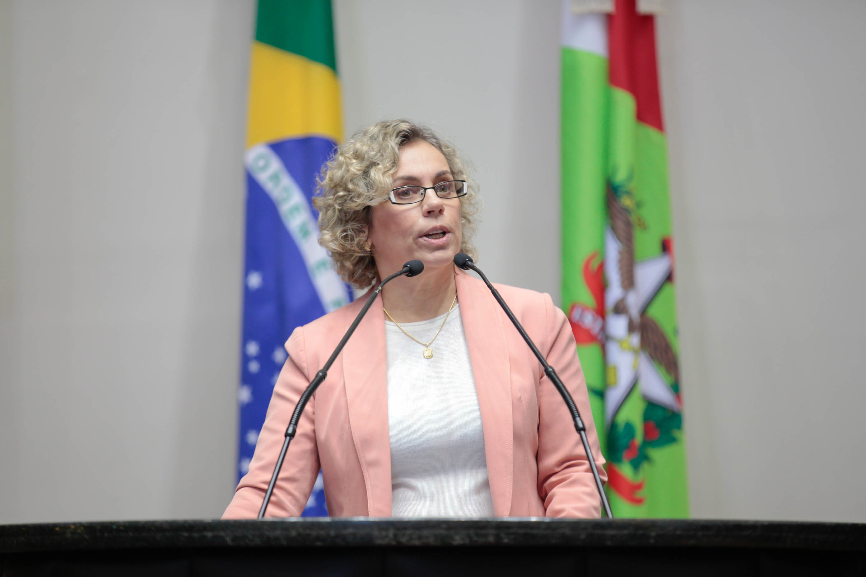 Deputada Ana Paula Lima (PT) em Sessão Plenária