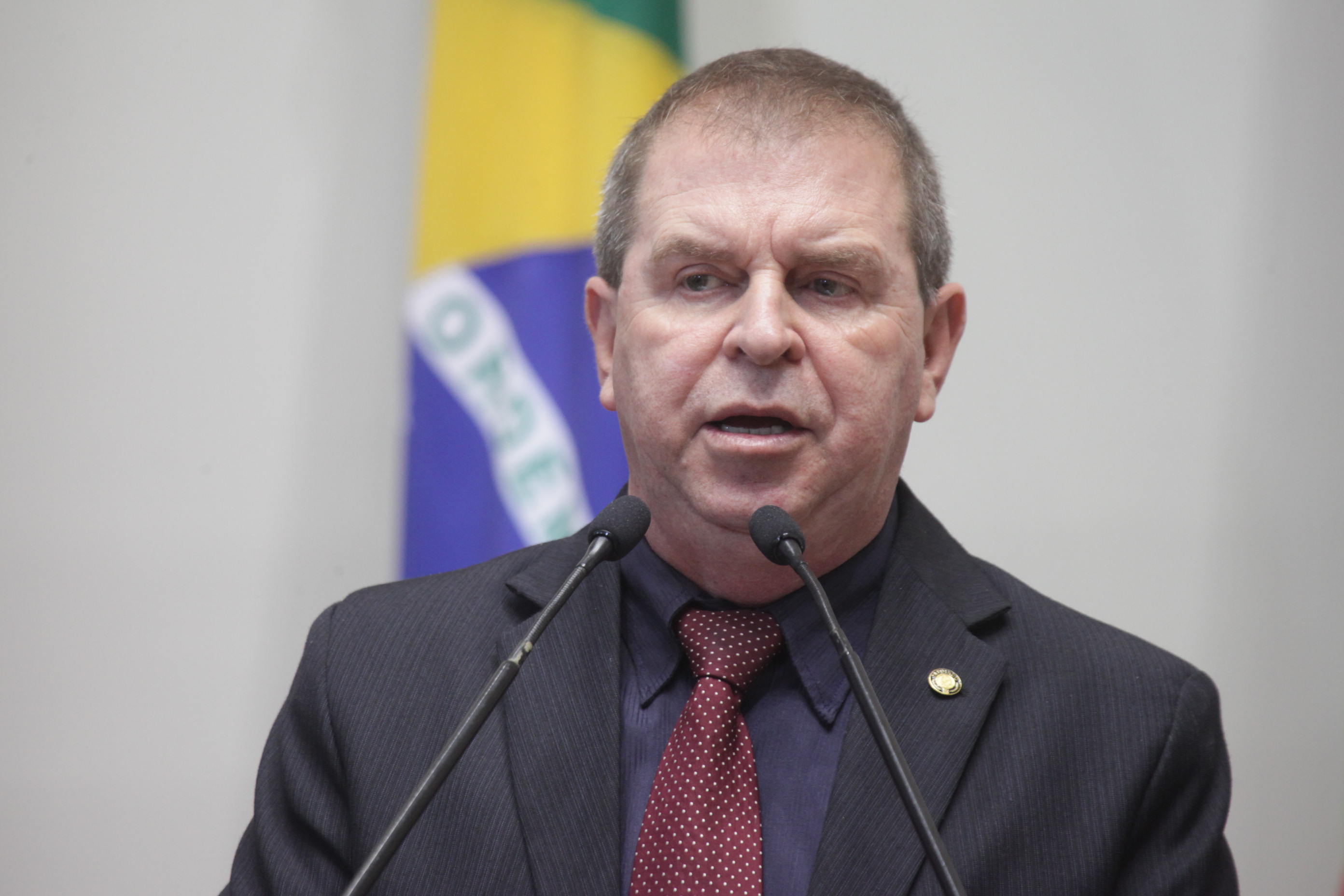 Sessão Ordinária.Deputado Maurício Eskudlark (PR).