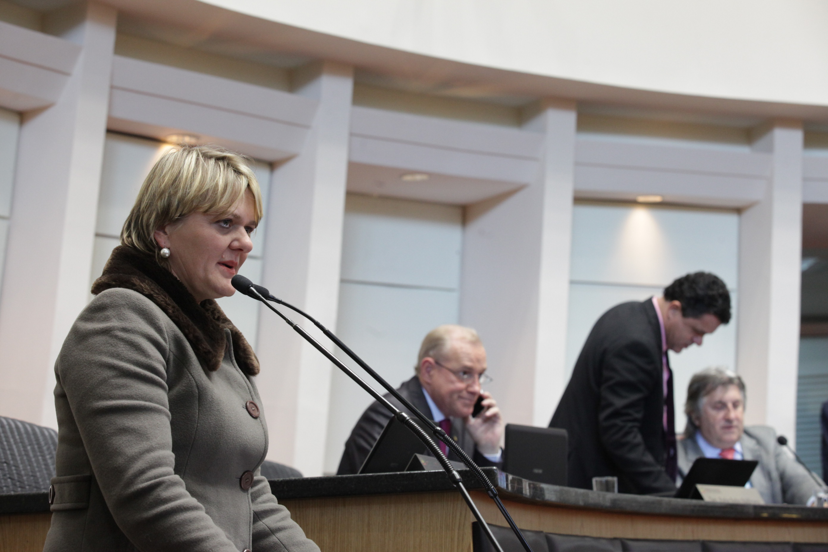 Sessão Ordinária. Deputada Luciane Carminatti (PT).