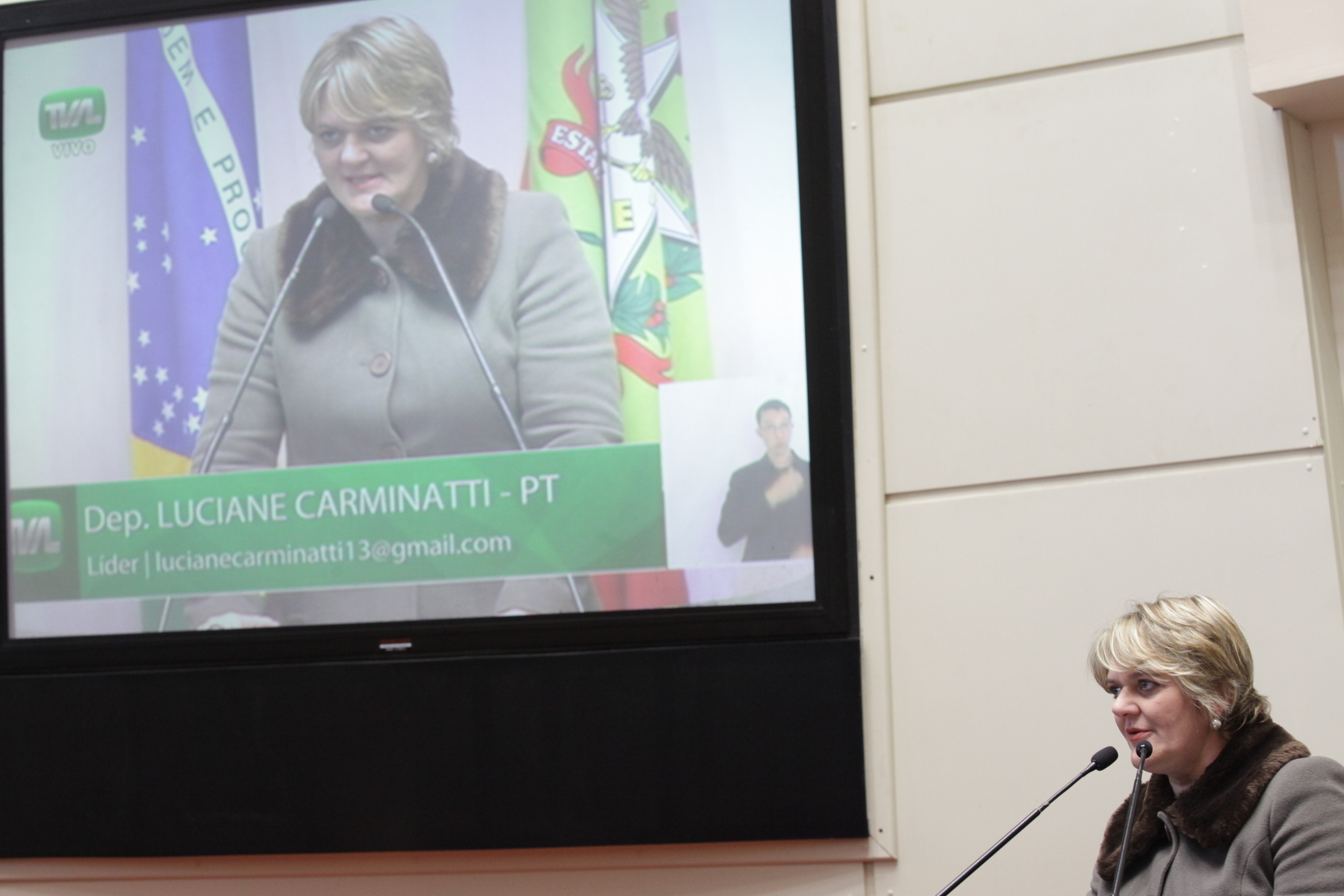 Sessão Ordinária.Deputada Luciane Carminatti (PT).