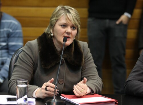 Luciane Carminatti denuncia corte de assistência à agricultura familiar