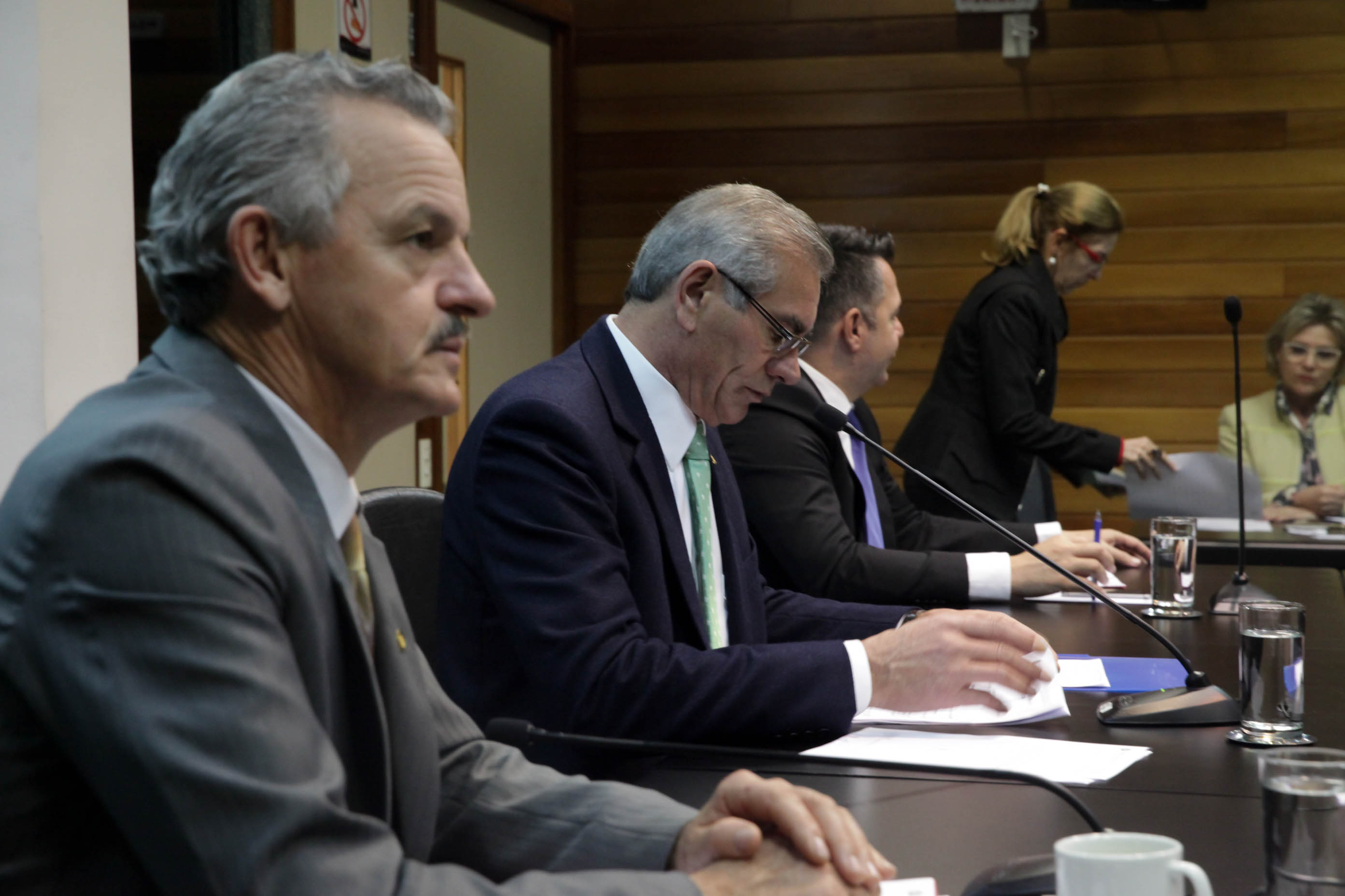 Comissão de Economia, Ciência, Tecnologia, Minas e Energia.