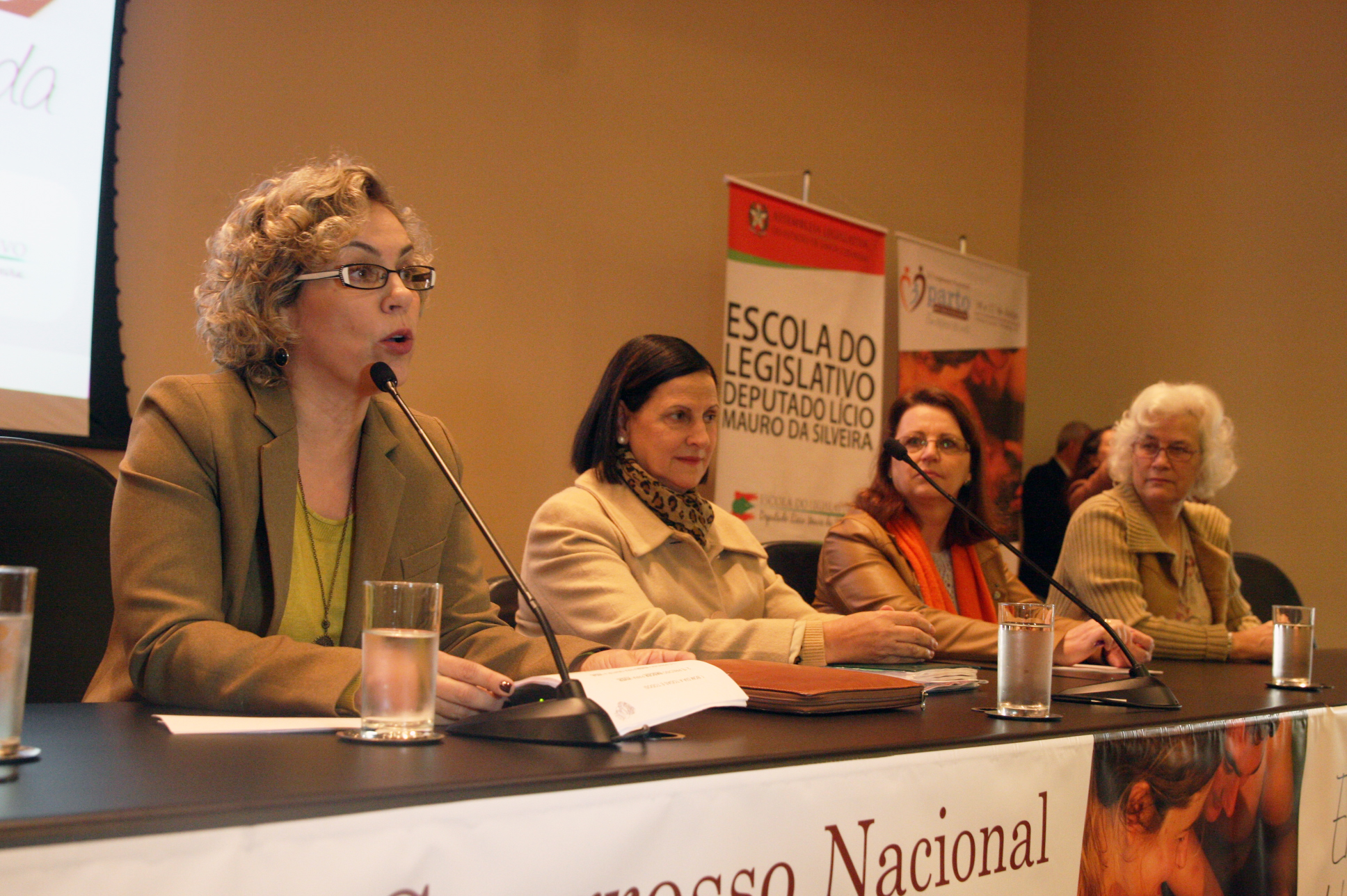 2º Congresso Nacional Parto Humanizado.