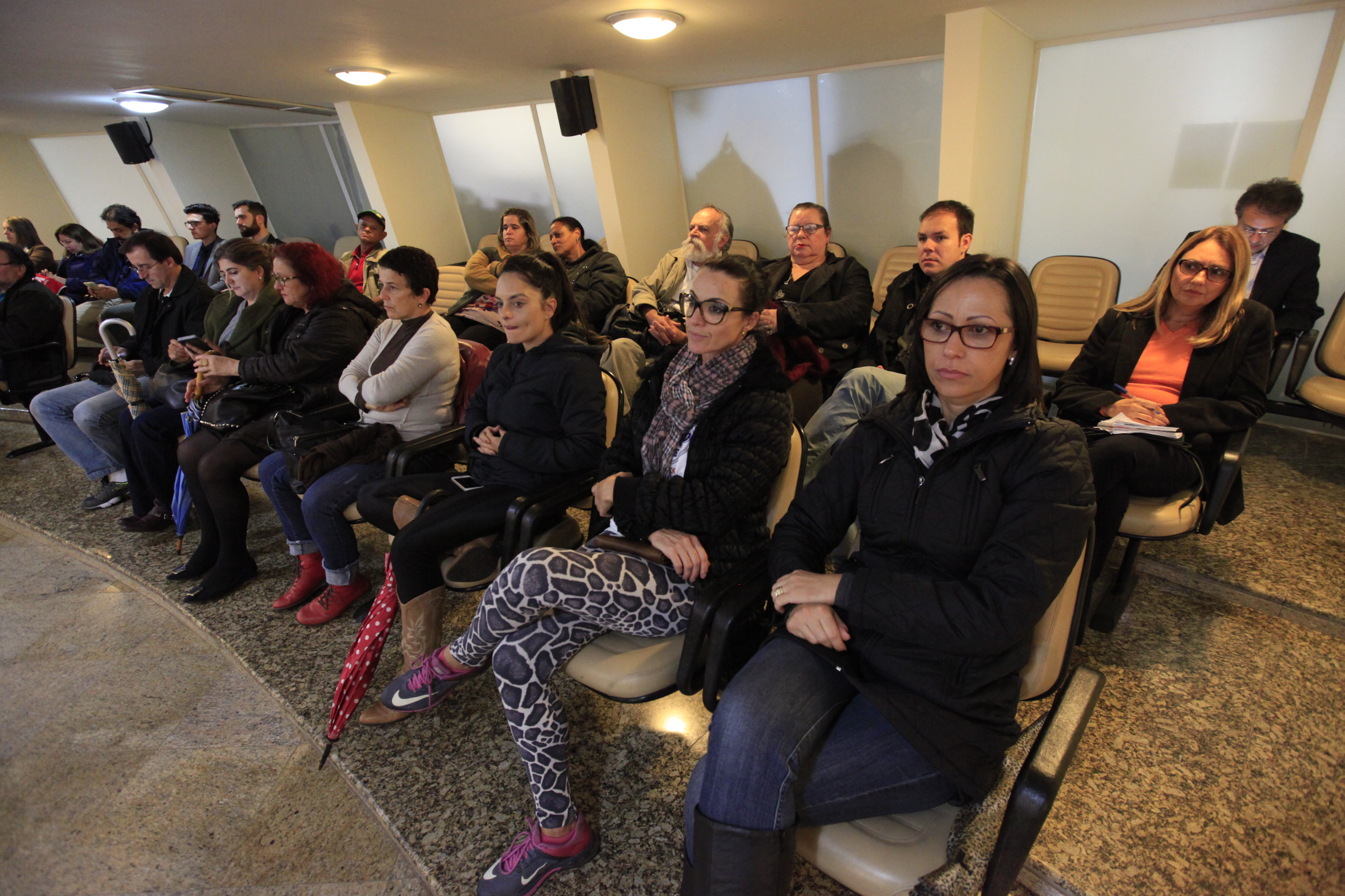 Audiência Pública sobre Direito dos Trabalhadores, Previdência Social e Trabalho Escravo.