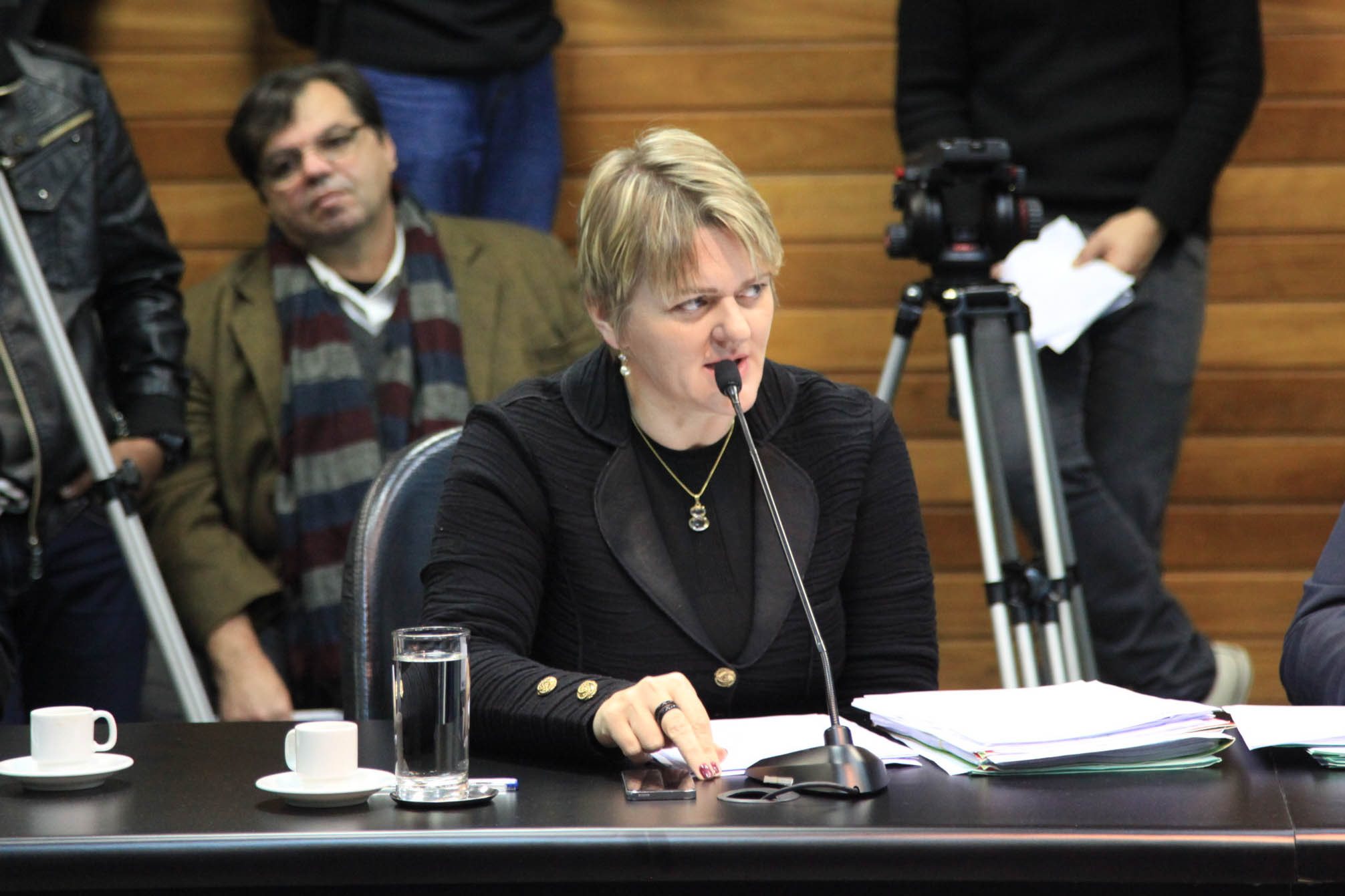 Deputada Luciane Carminatti (PT) em Comissão de Constituição e Justiça