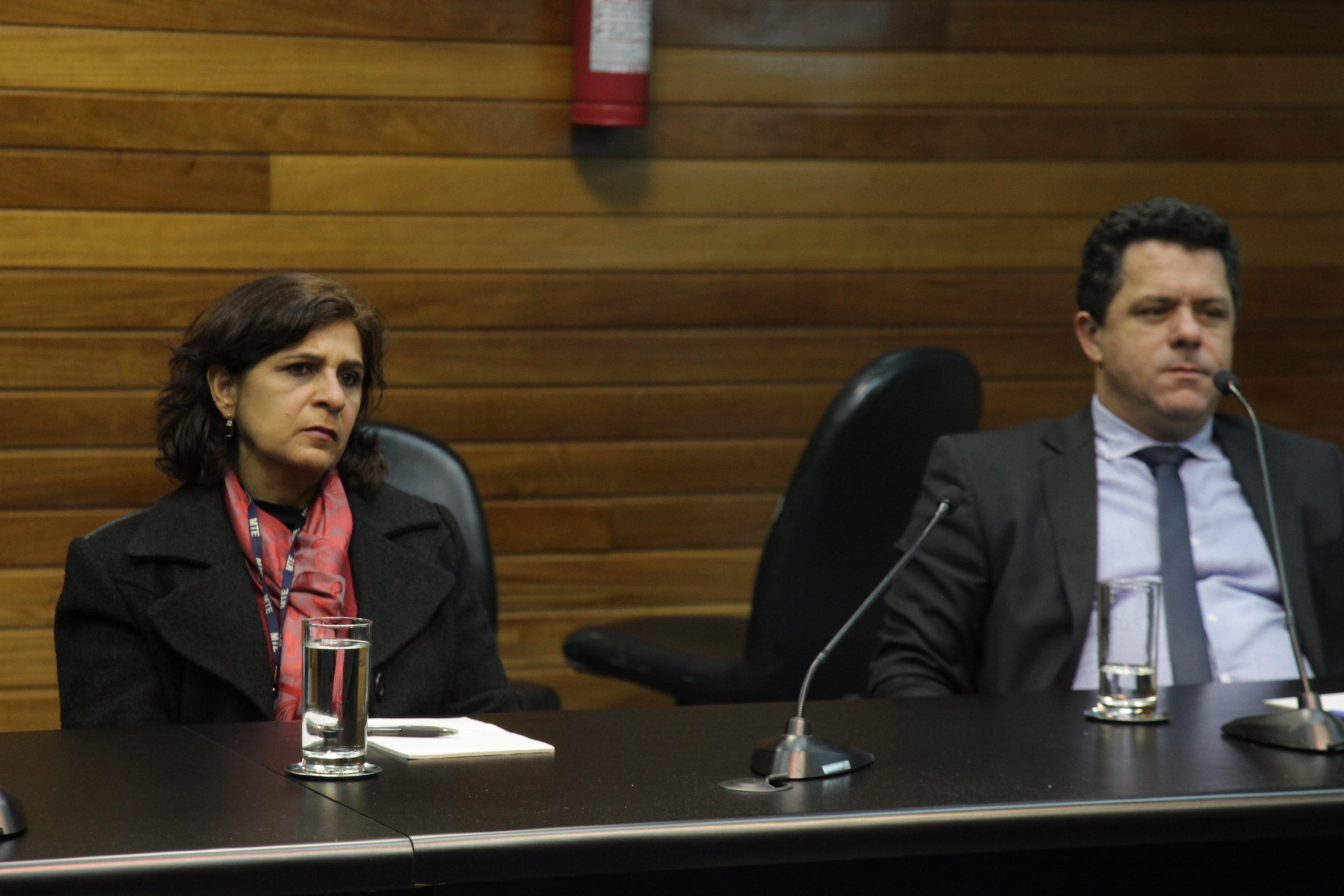 Comissão de Relacionamento Institucional, Comunicação, Relações Internacionais e do Mercosul.