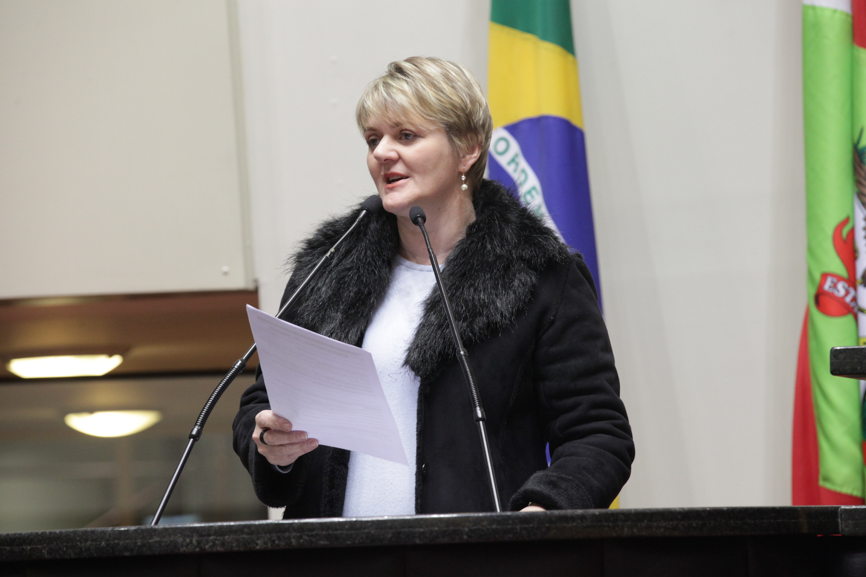 Sessão Ordinária. Deputada Luciane Carminatti (PT).