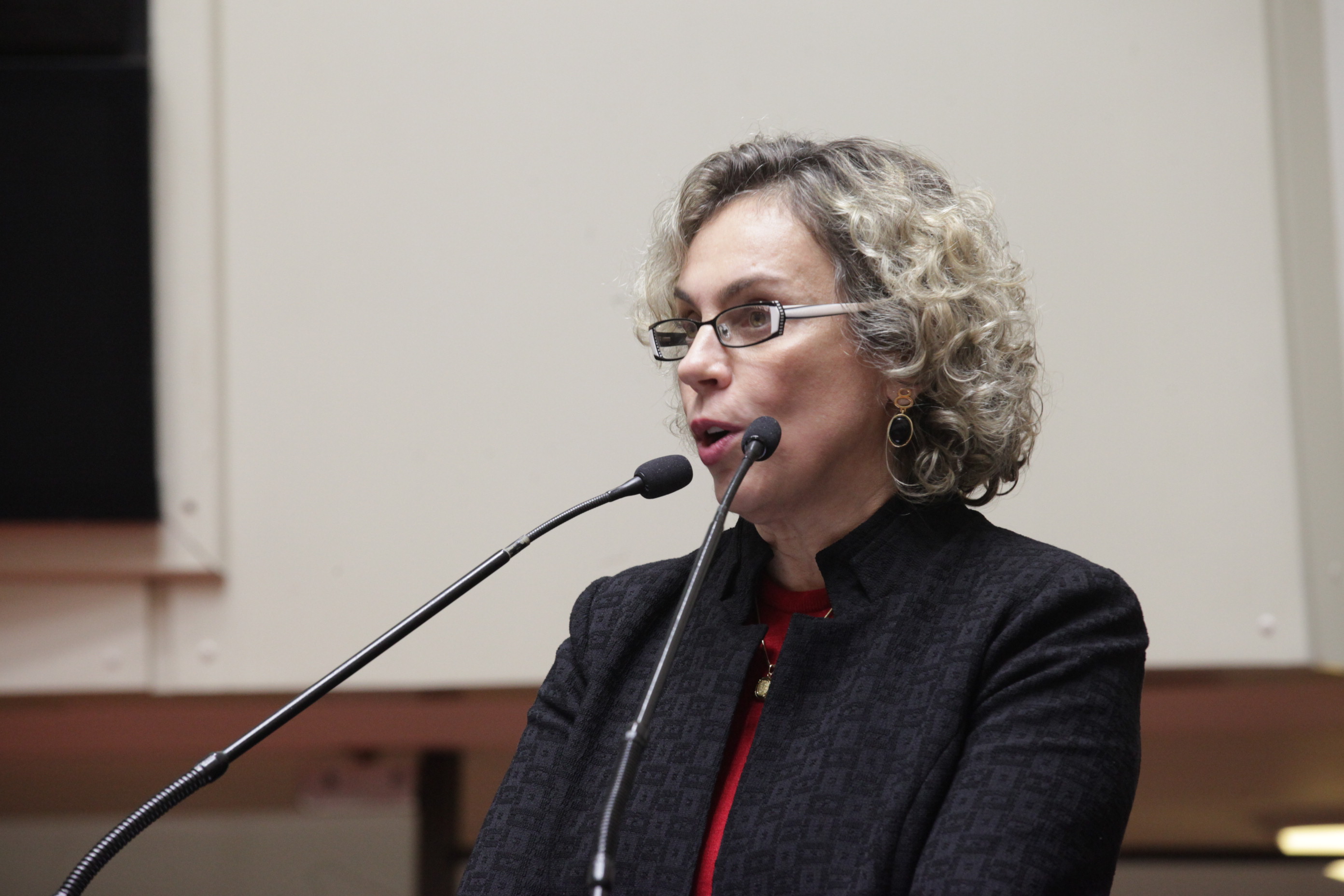 Sessão Ordinária. Deputada Ana Paula Lima (PT).