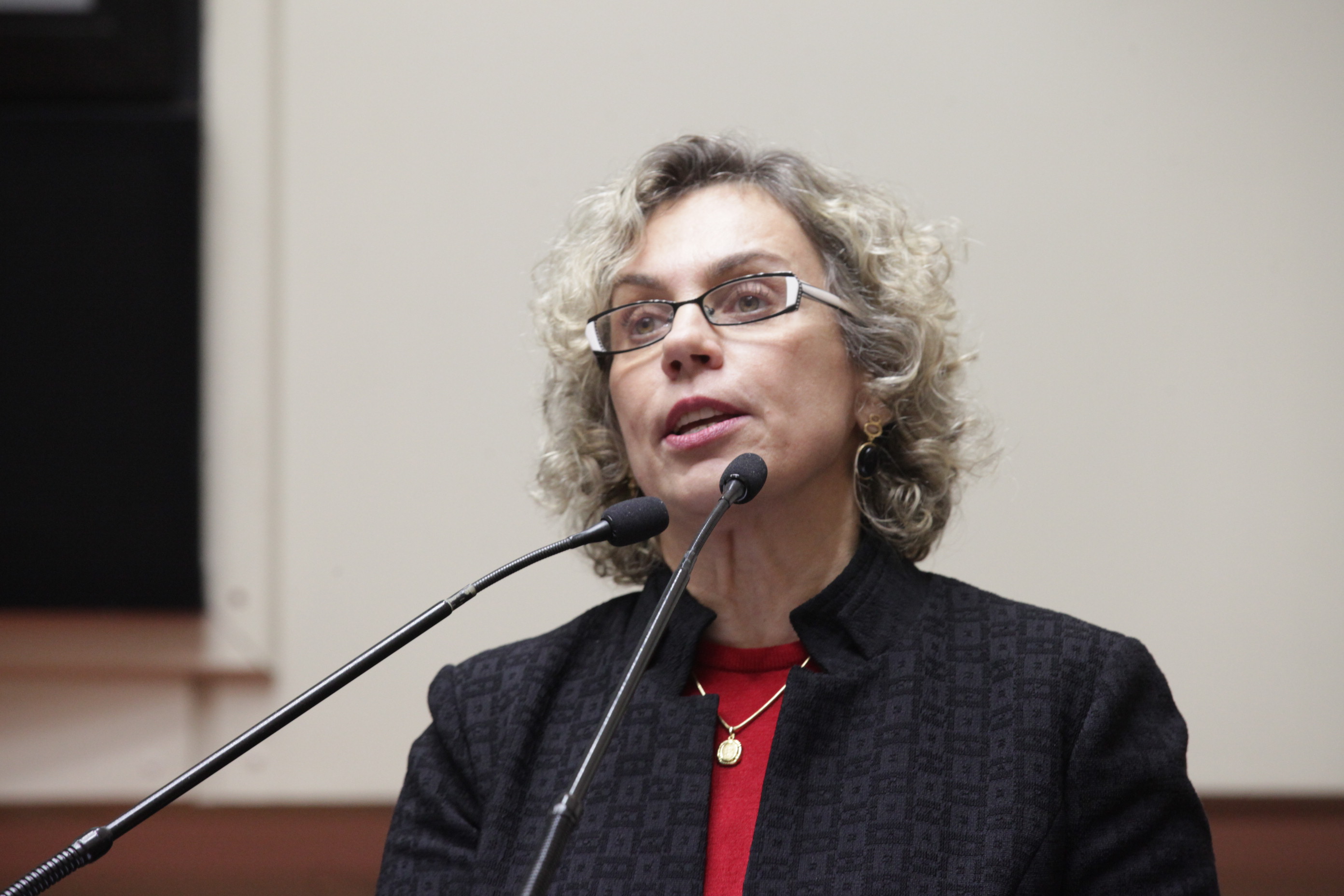 Sessão Ordinária. Deputada Ana Paula Lima (PT).