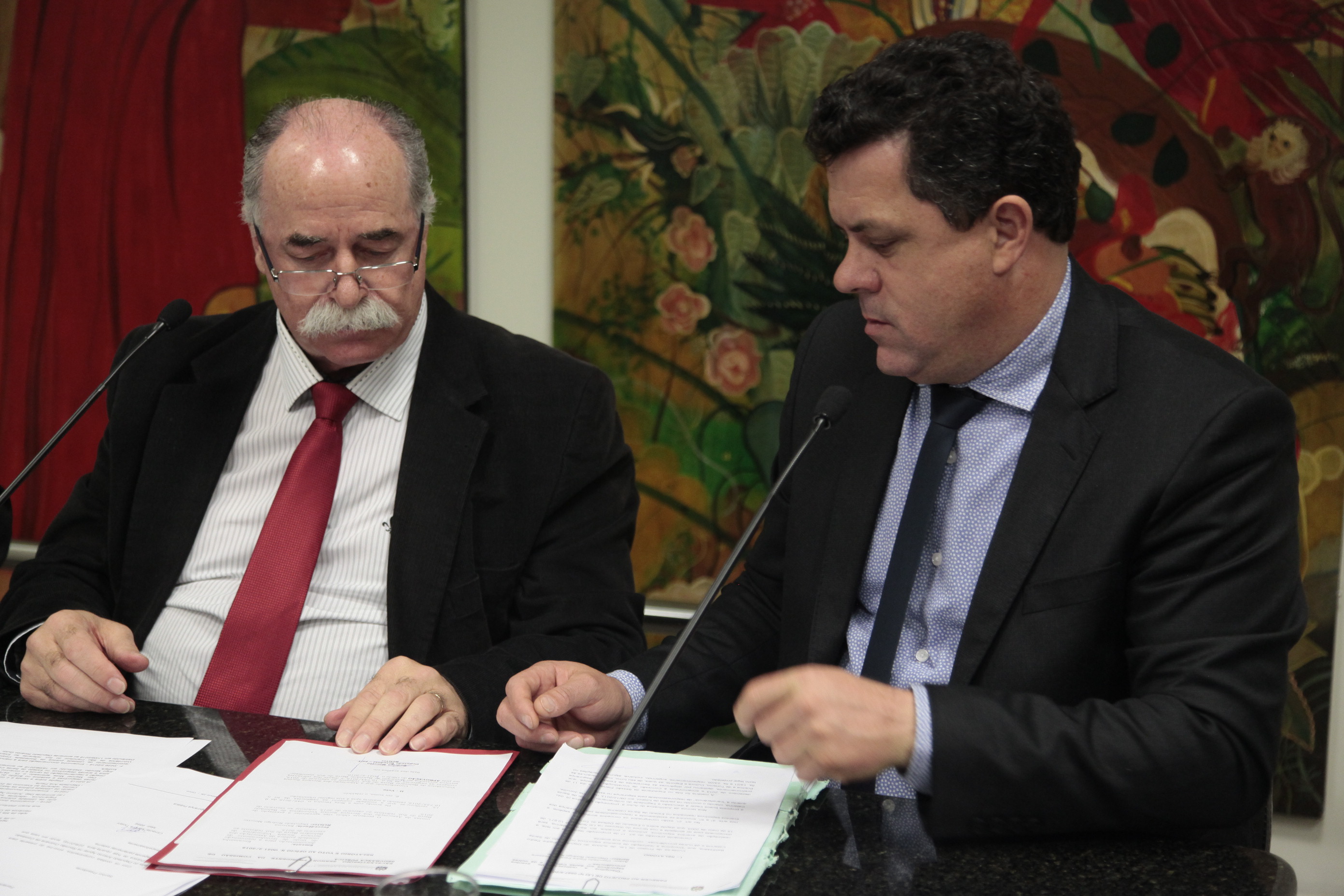 Reunião da Comissão de Segurança Pública.