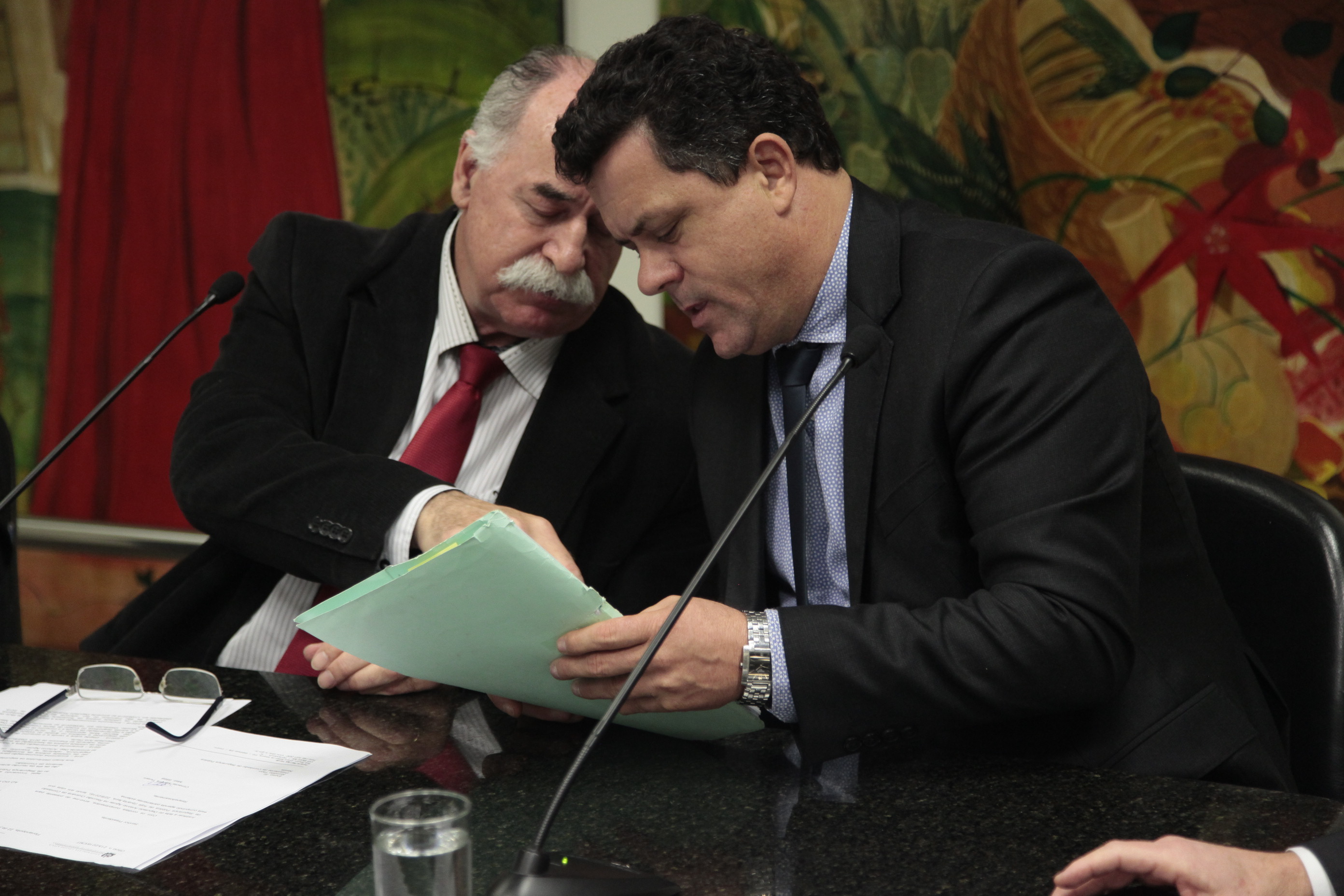 Reunião da Comissão de Segurança Pública.