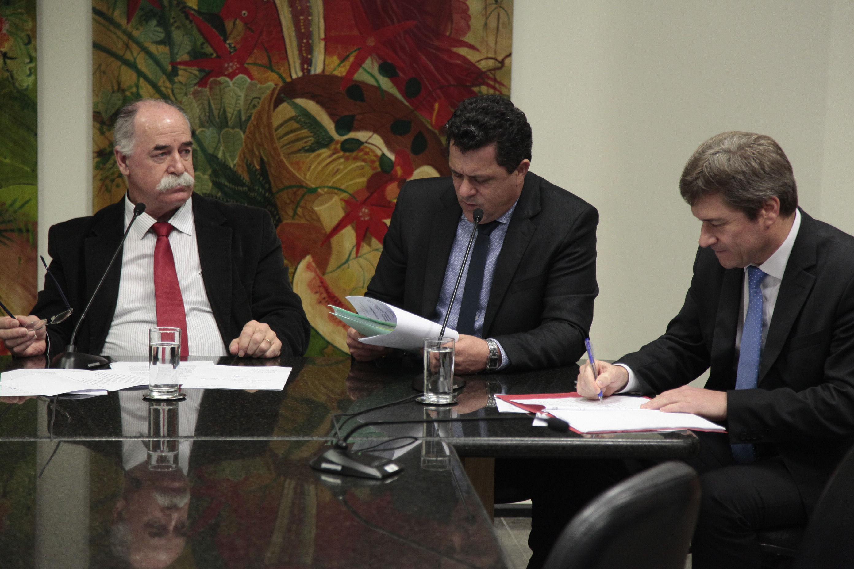 Reunião da Comissão de Segurança Pública.