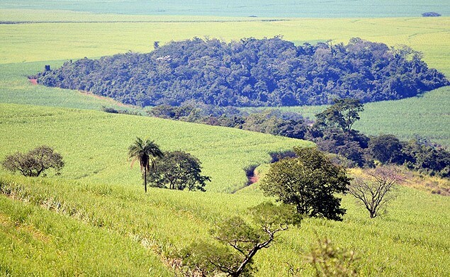 Santa Catarina terá sistema para compensação ambiental inédito no país