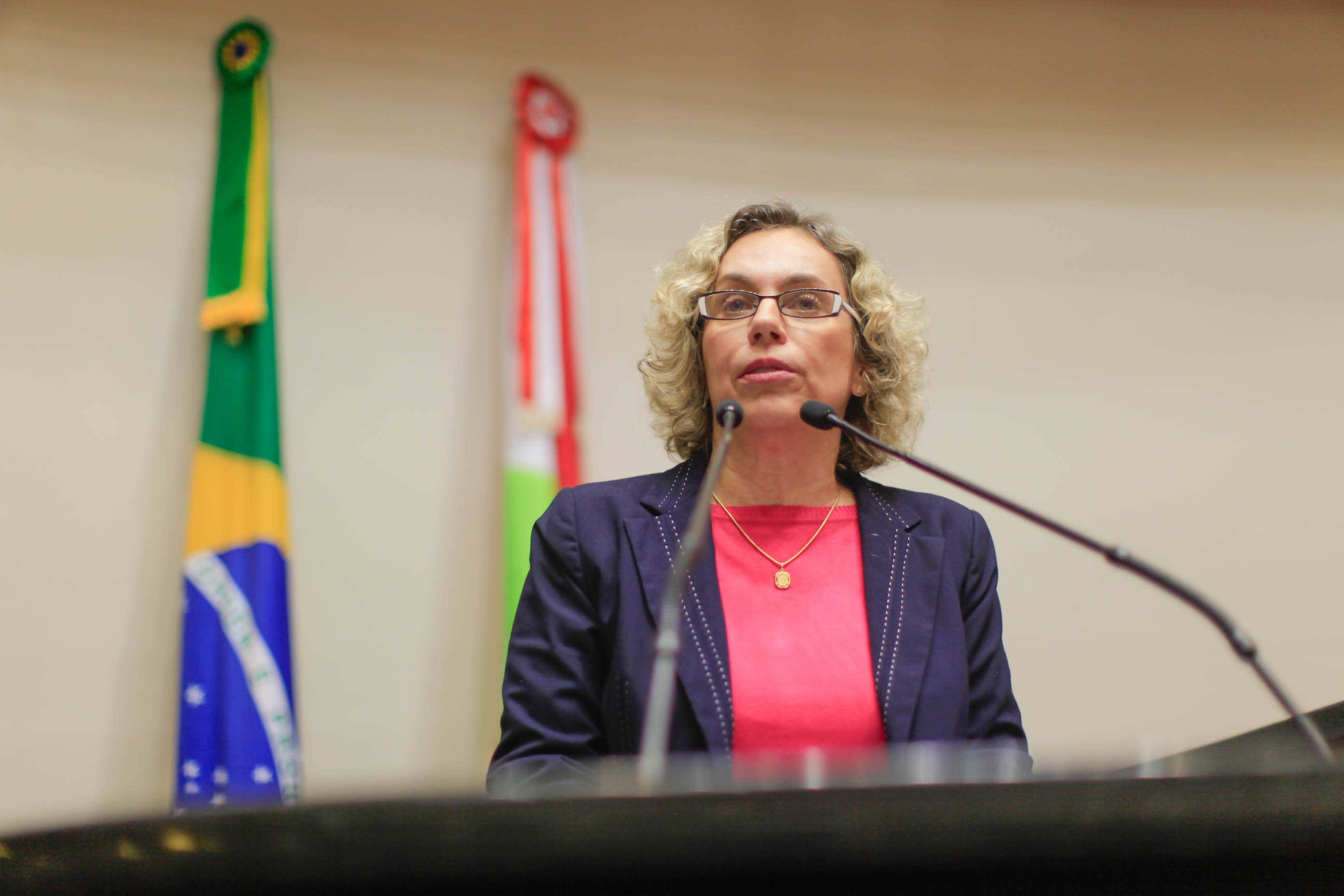 Deputada Ana Paula Lima (PT) em Sessão Ordinária