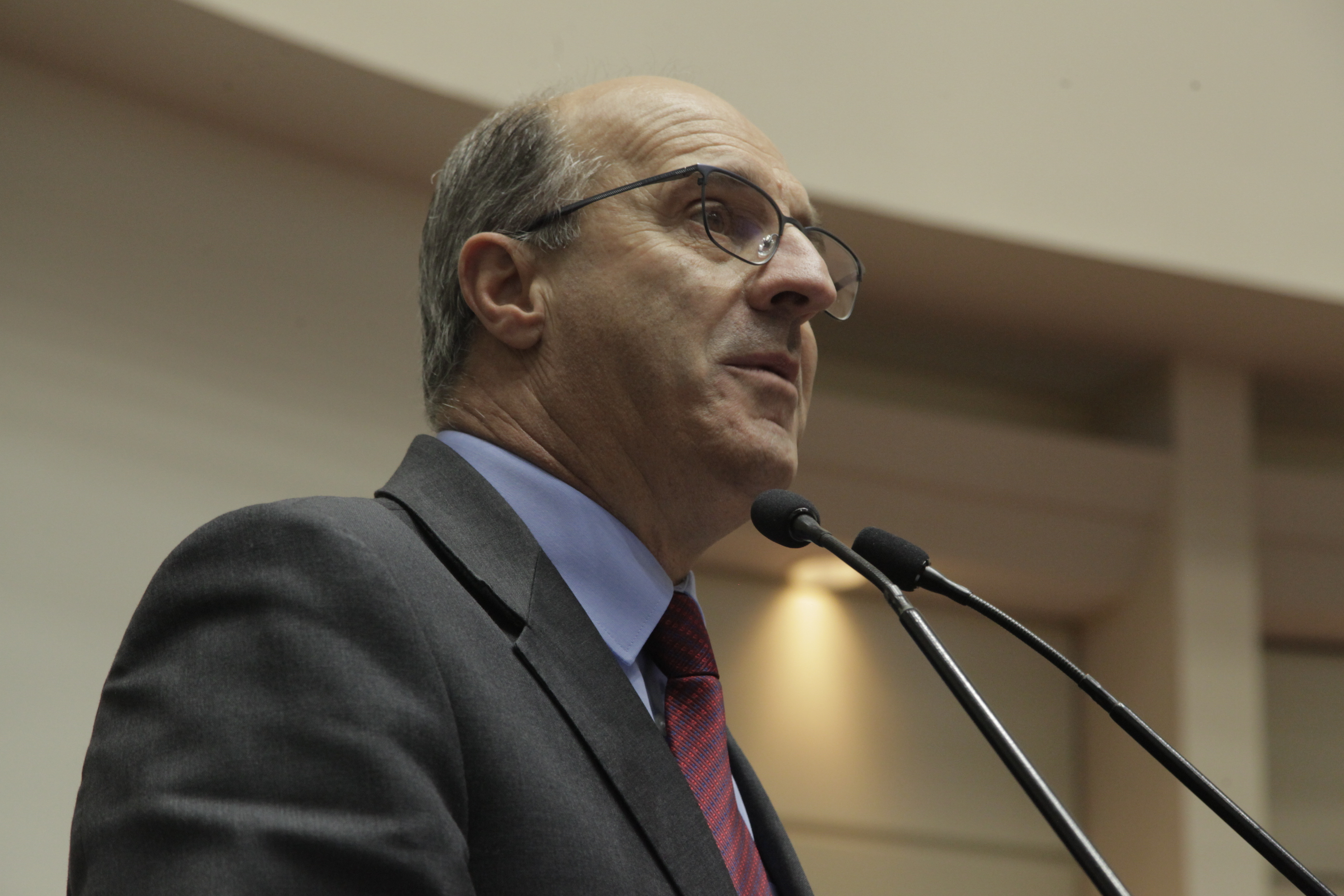 Sessão Ordinária. Deputado Milton Scheffer (PP).